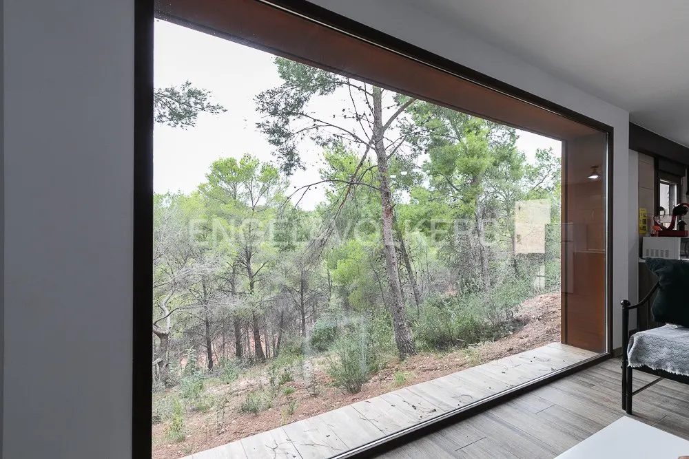 A large window frames a view of a lush green forest from inside a modern home. The window has a dark brown frame.
