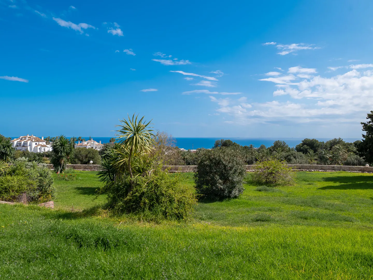 Lush green lawn with shrubs and trees, overlooking white buildings, the ocean, and a bright blue sky.
