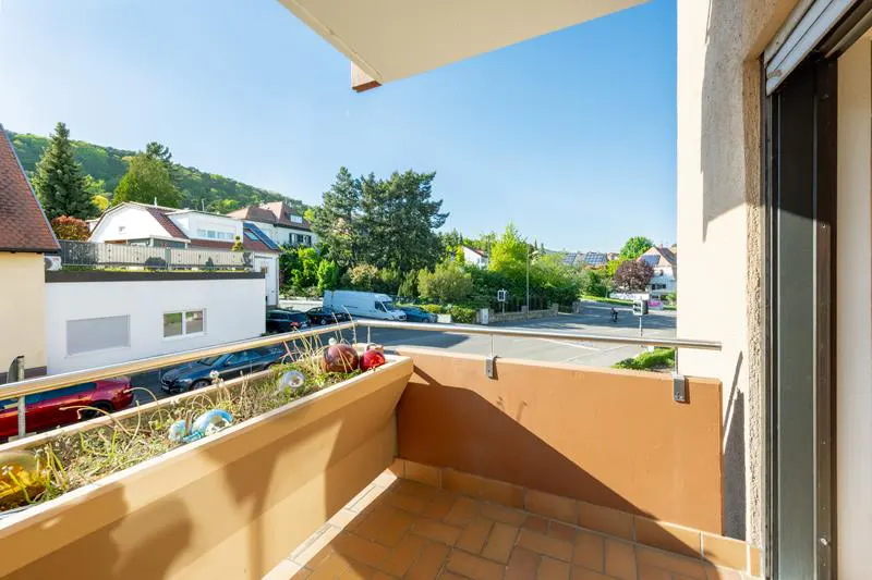 View from a balcony with a brown tiled floor and planter box, overlooking a street with houses and trees under a blue sky.