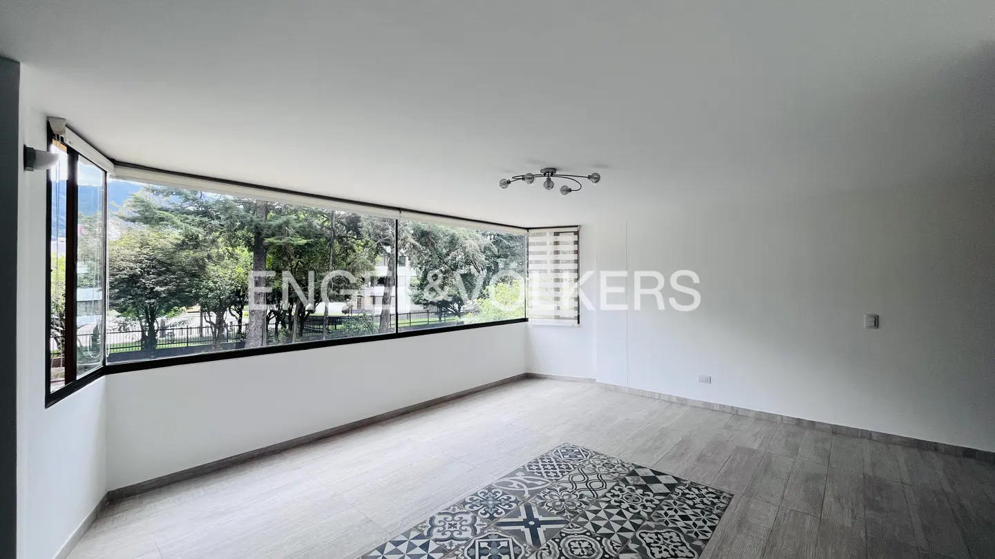 Bright, empty room with white walls, wood-look tile floor, and large window with a view of trees. A patterned rug is on the floor.