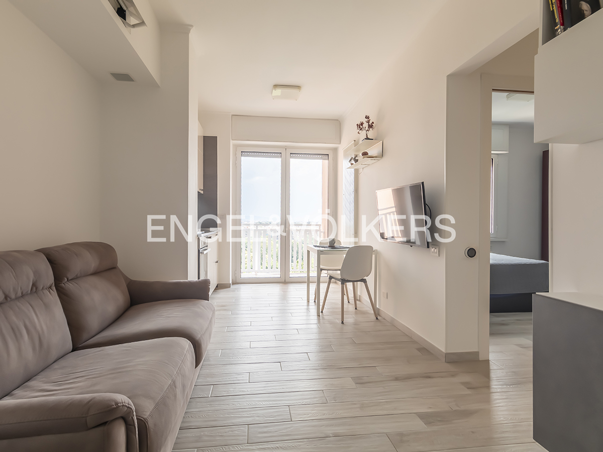 Bright panoramic one-bedroom apartment - East Rome