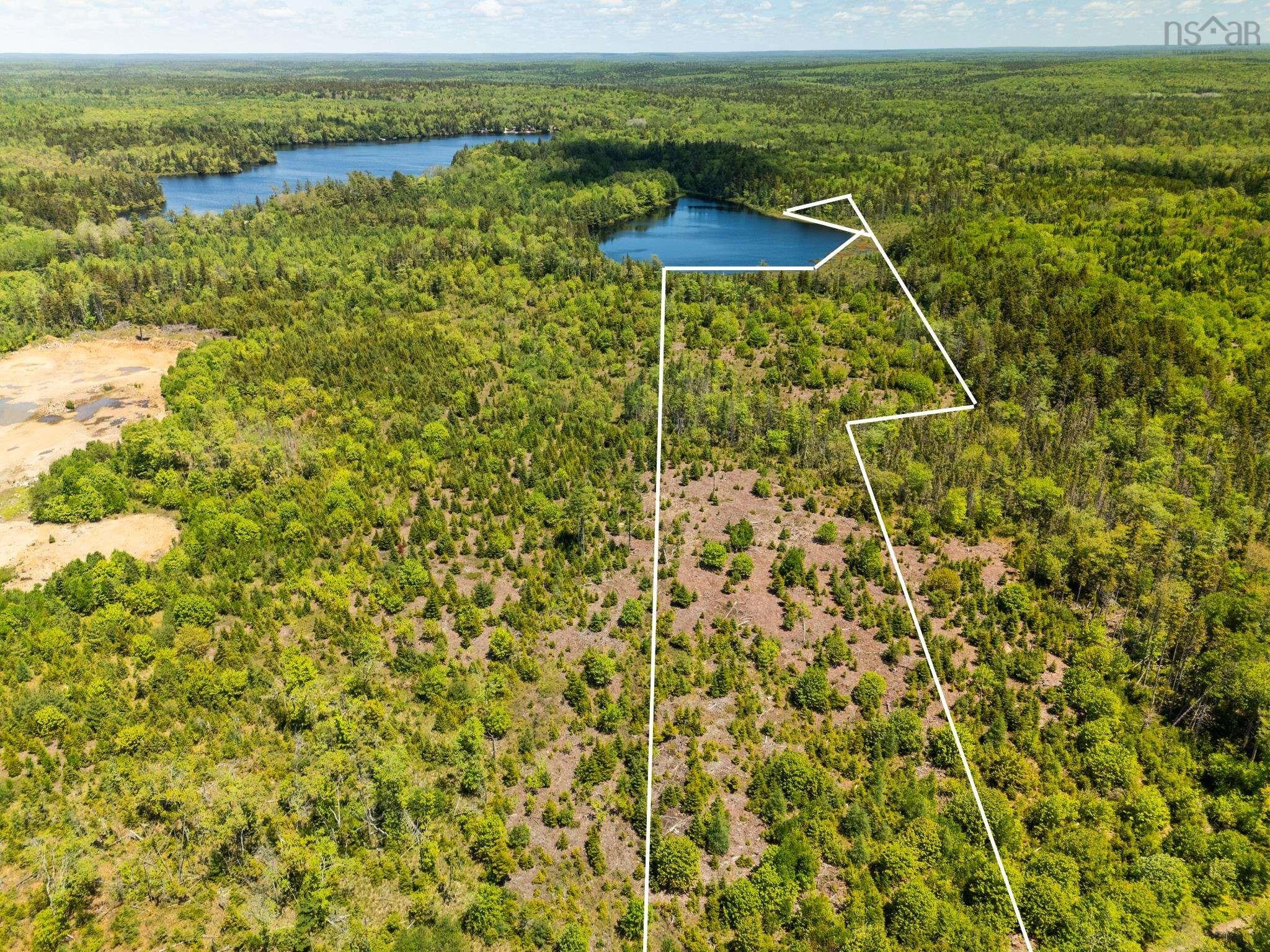 Explore the Possibilities on 16.9 Acres