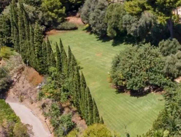 Aerial view of a large green lawn bordered by tall, thin cypress trees and lush green trees. A road is visible on the left.