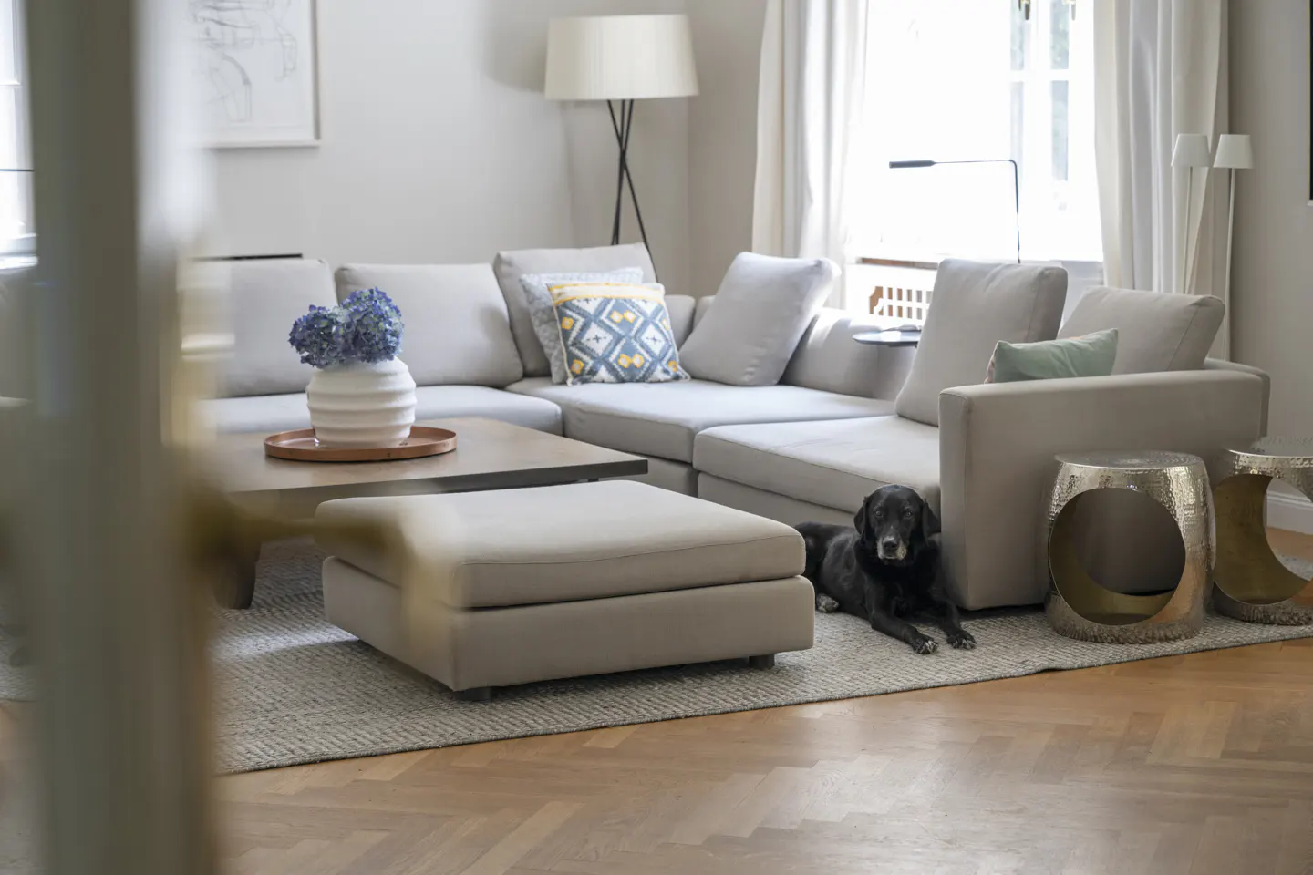 Living room with a large gray sectional sofa, wood floors, and a black dog lying on a rug. A coffee table has a vase of blue flowers.