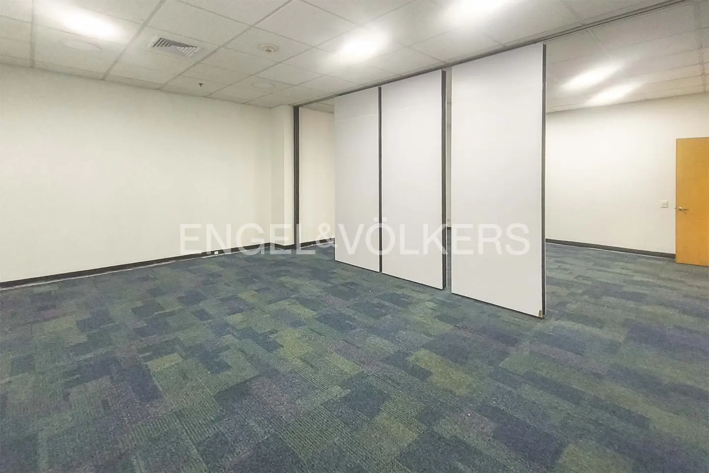 An empty office space with white walls, blue and green carpet, and white movable partitions. A wooden door is visible in the background.