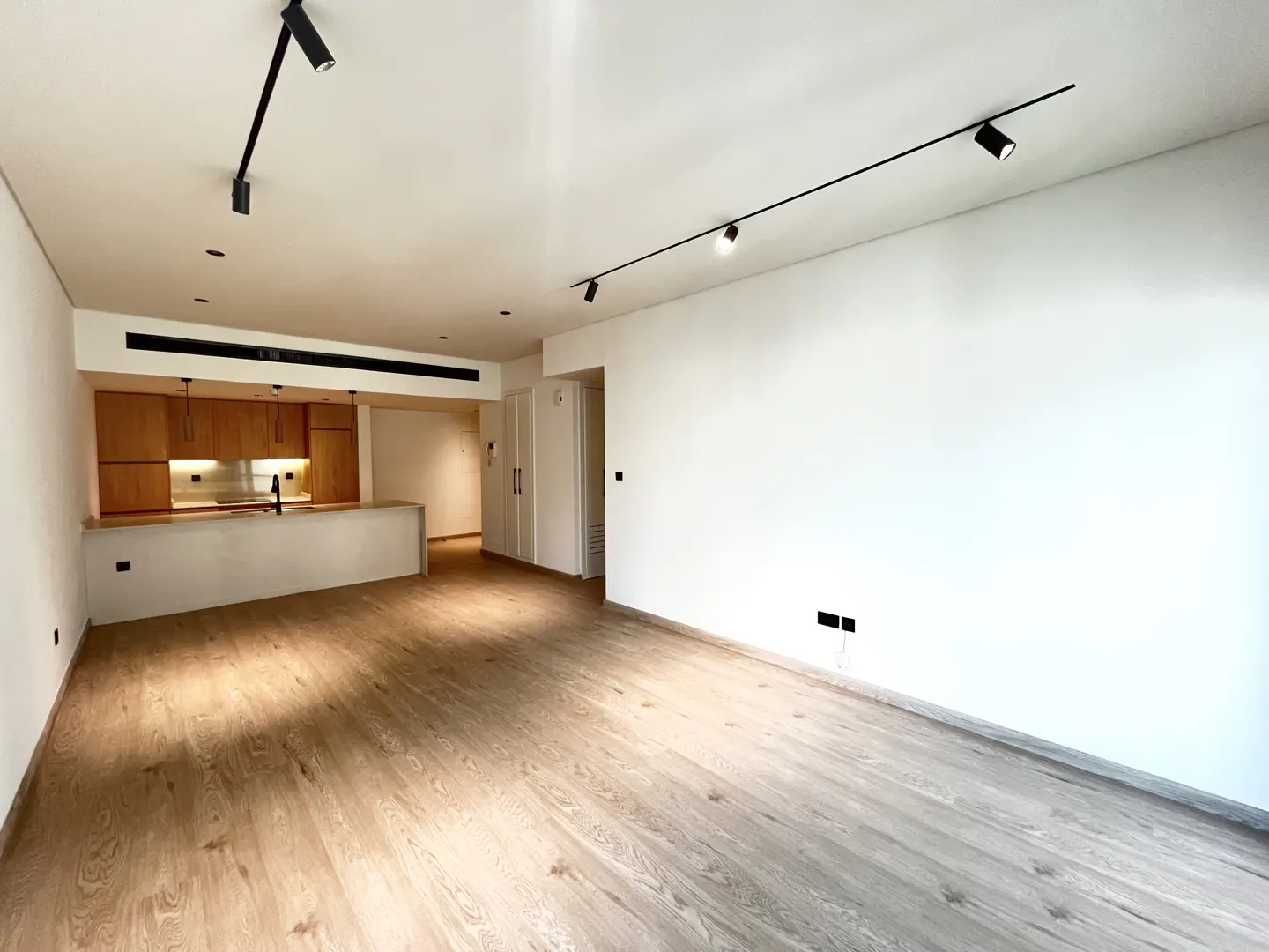 Modern open-plan living area with light wood floors, white walls, track lighting, and a kitchen with wood cabinets.