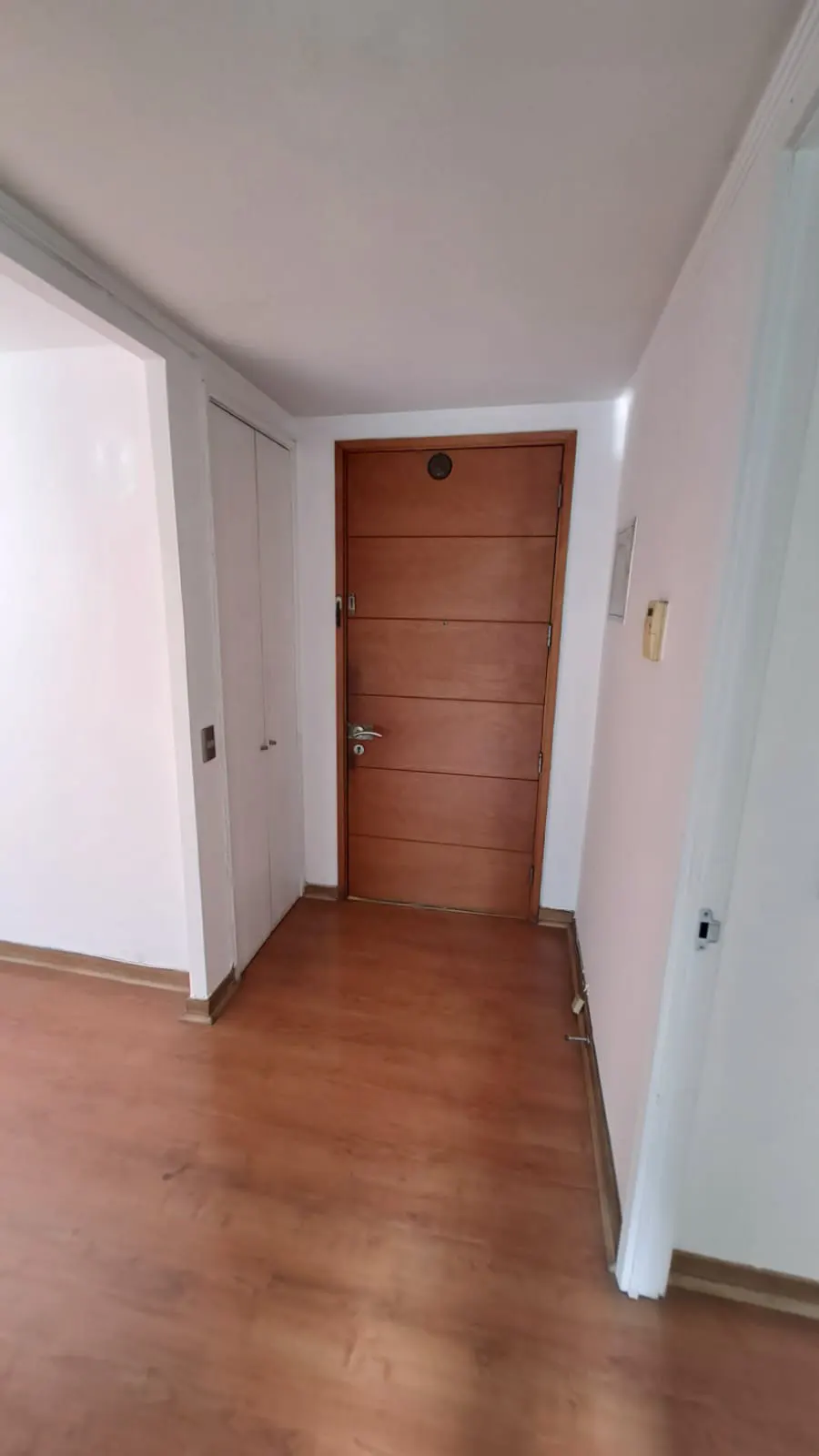 An interior view of a room with wood floors, white walls, and a brown wooden door.