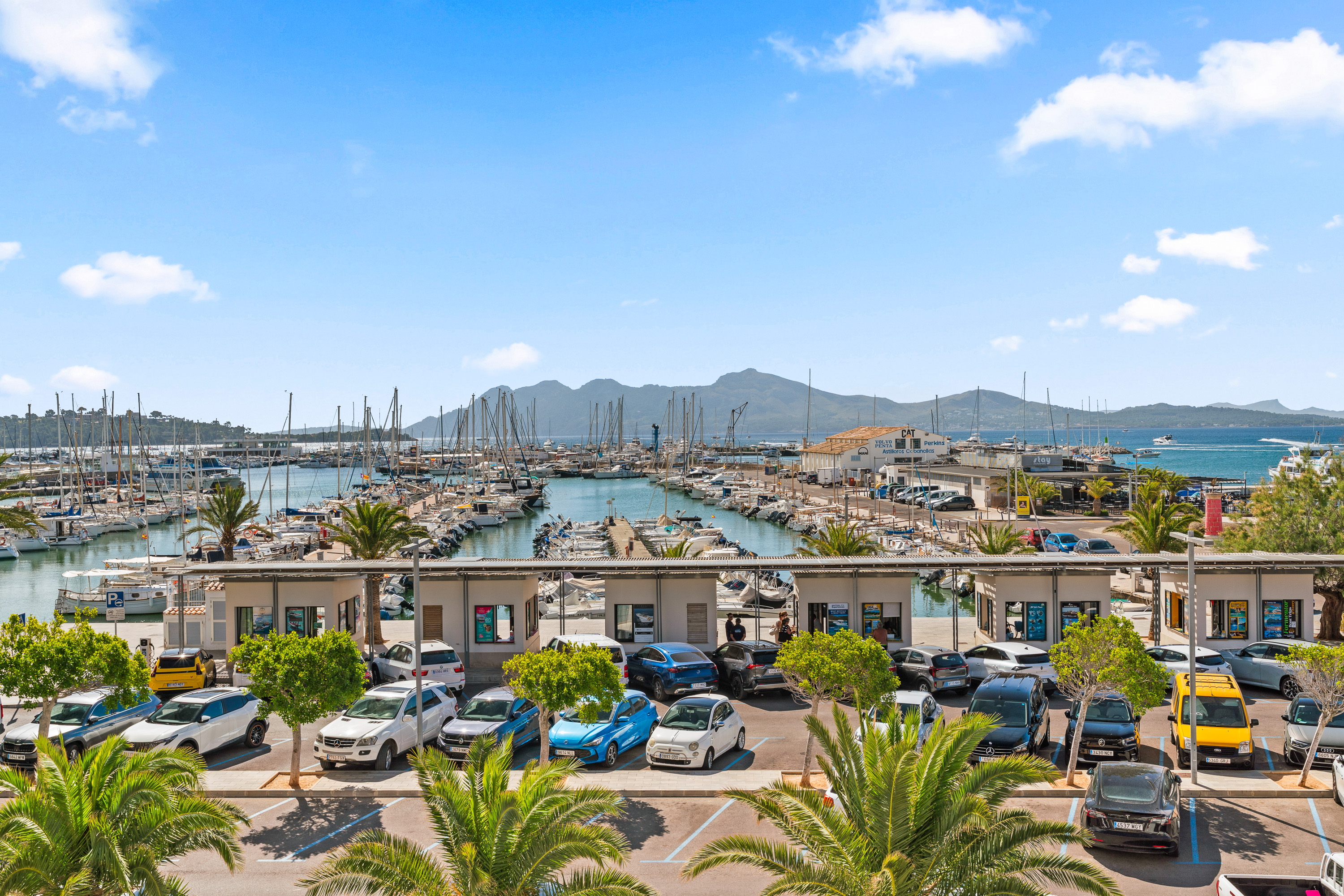Helles Apartment direkt am Meer in Puerto Pollensa