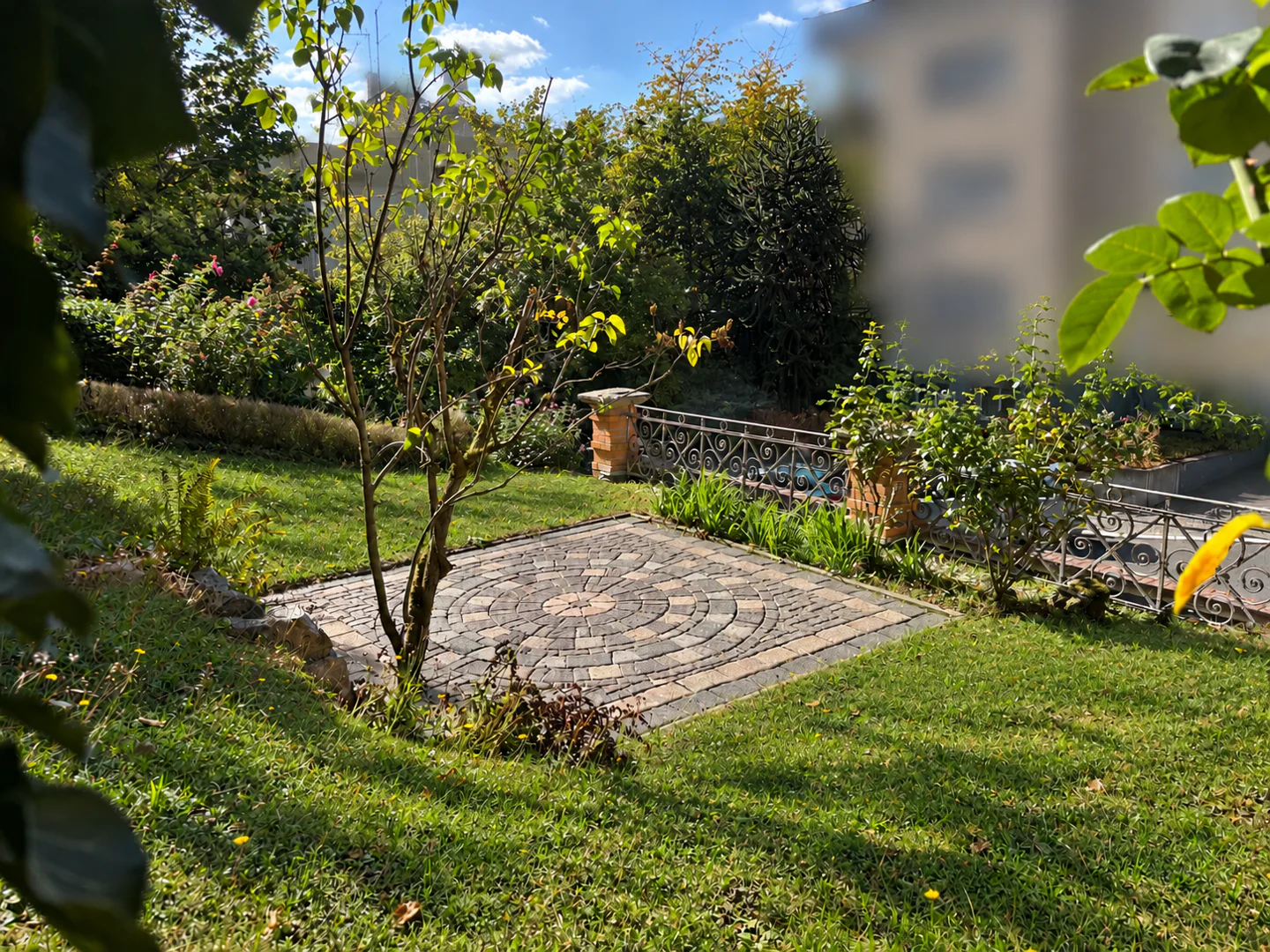 Stilvolle Altbauwohnung mit Terrasse und Gartenbereich im Wiesbadener Nerotal - Photo 5