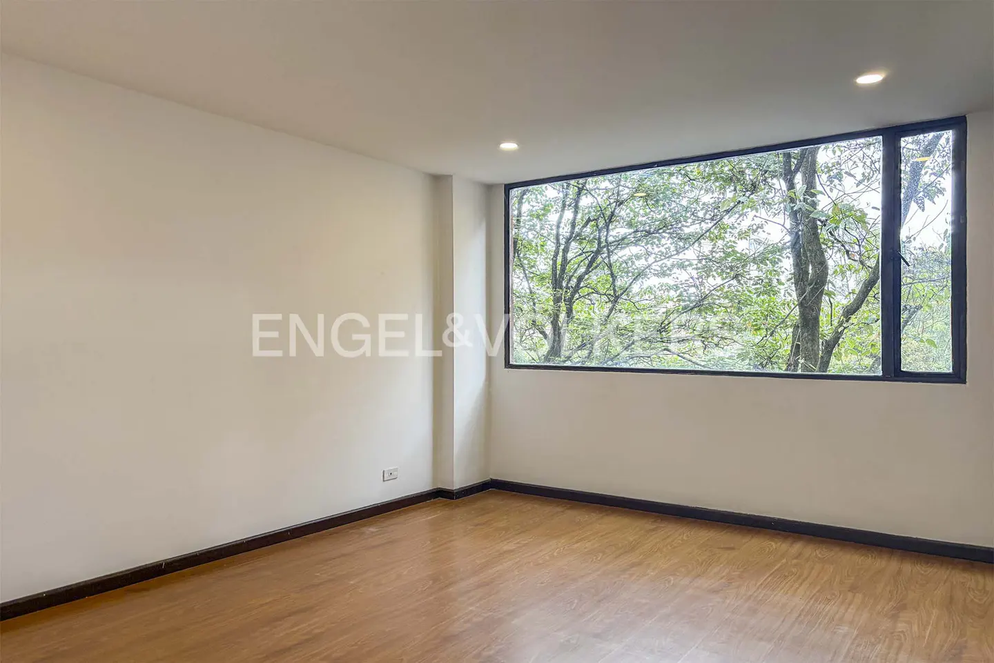 Empty room with light wood floors, white walls, and a large window overlooking lush green trees.