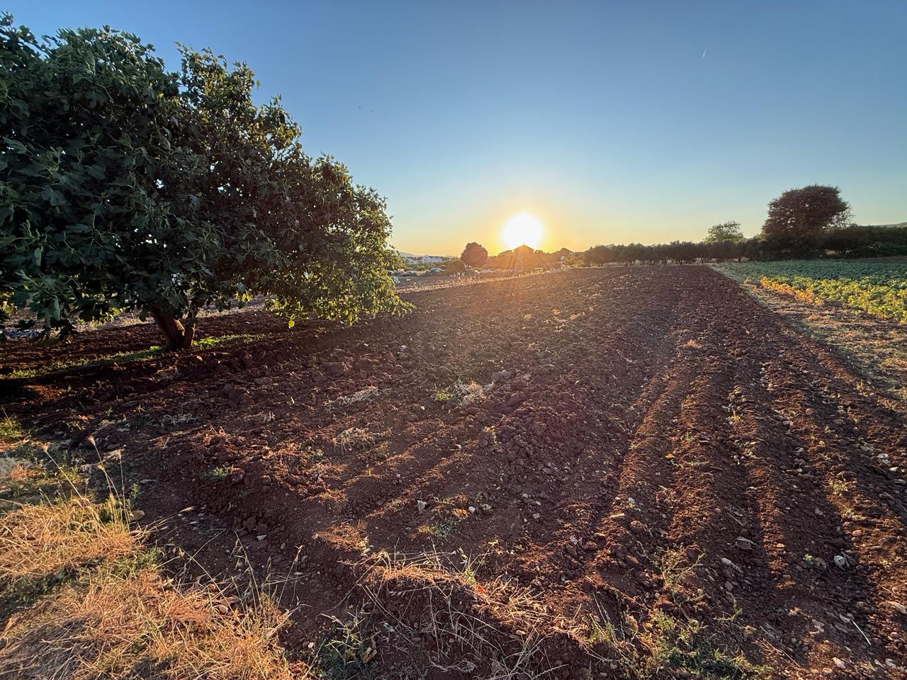 Prime Building Land with Panoramic Sea, Islands & Biograd Views – Excellent Investment Opportunity