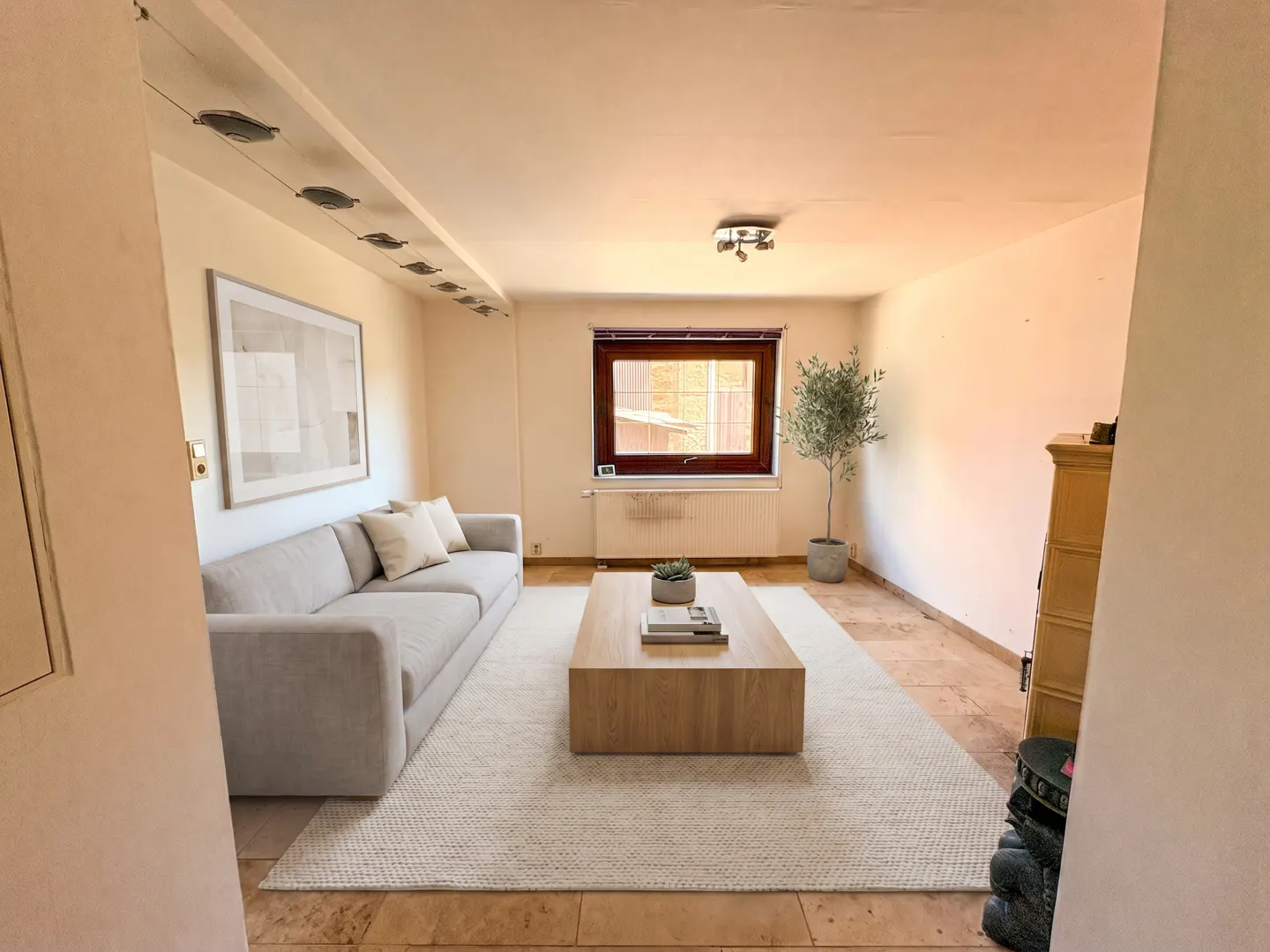 Living room with a light gray sofa, a wooden coffee table, and a large window with a brown frame. A potted olive tree stands near the window.
