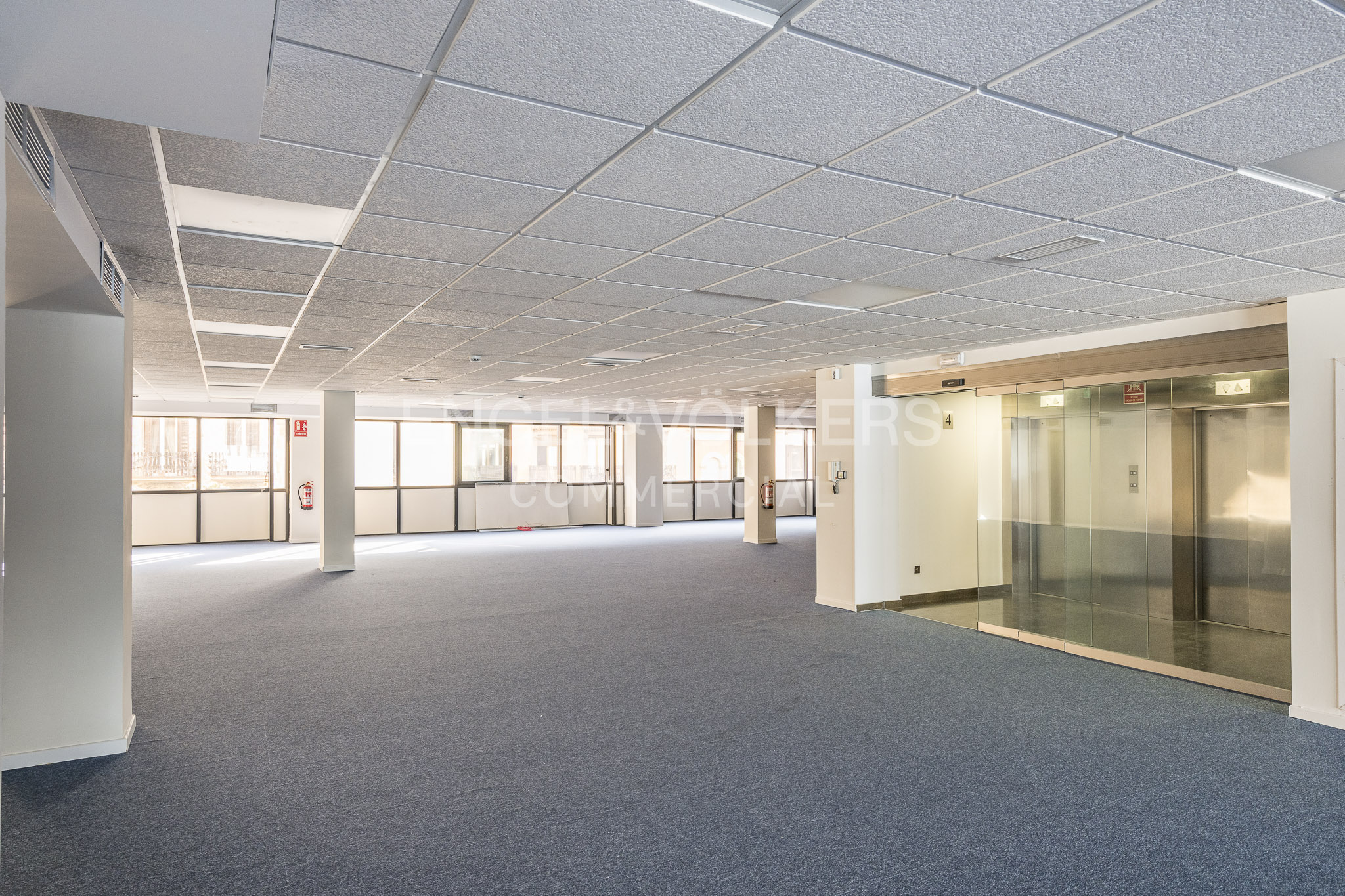 Empty, open-plan office space with blue carpet, white drop ceiling, large windows, and a glass-enclosed elevator lobby.