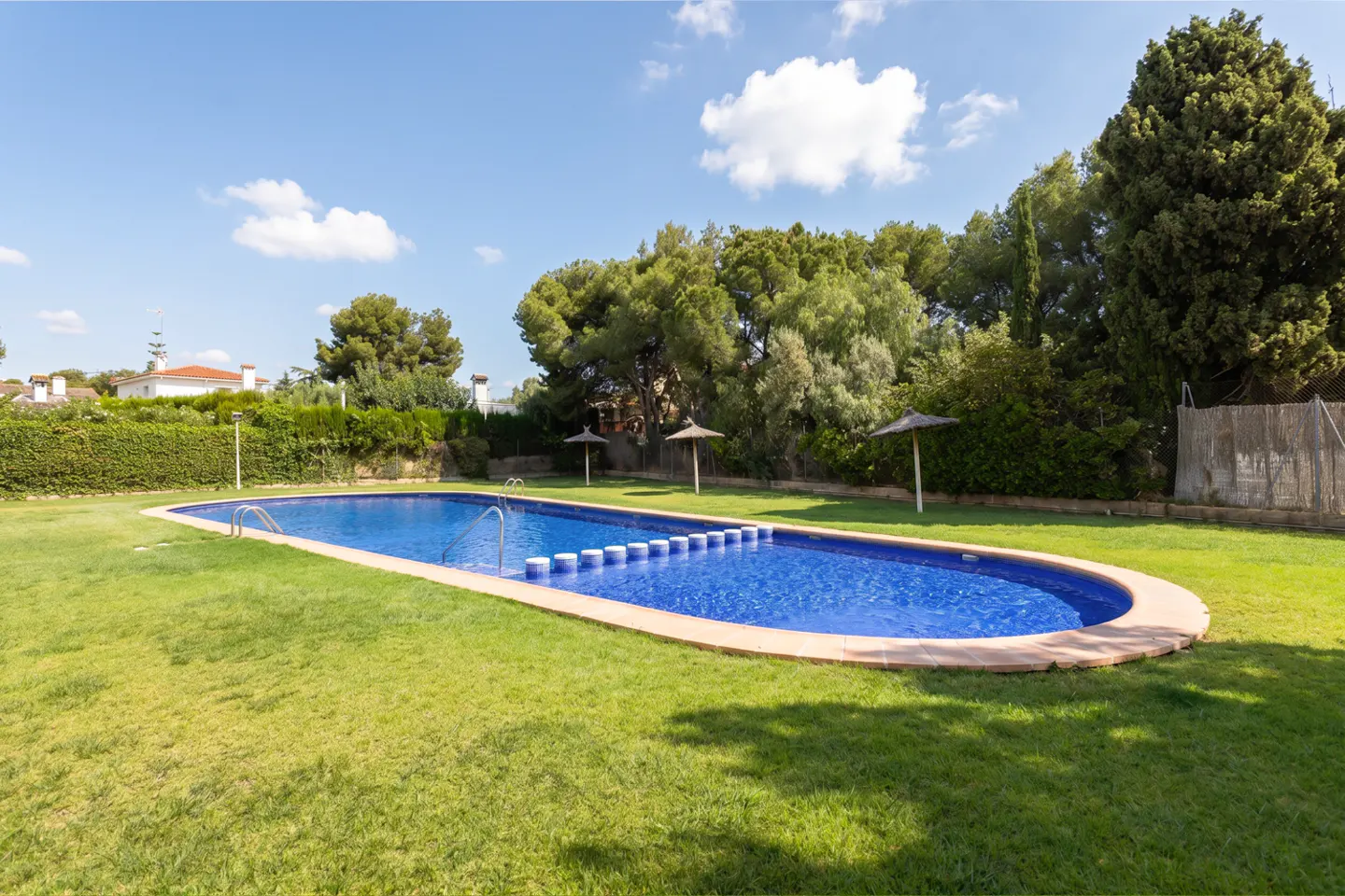 A rectangular blue swimming pool is surrounded by green grass and trees on a sunny day.