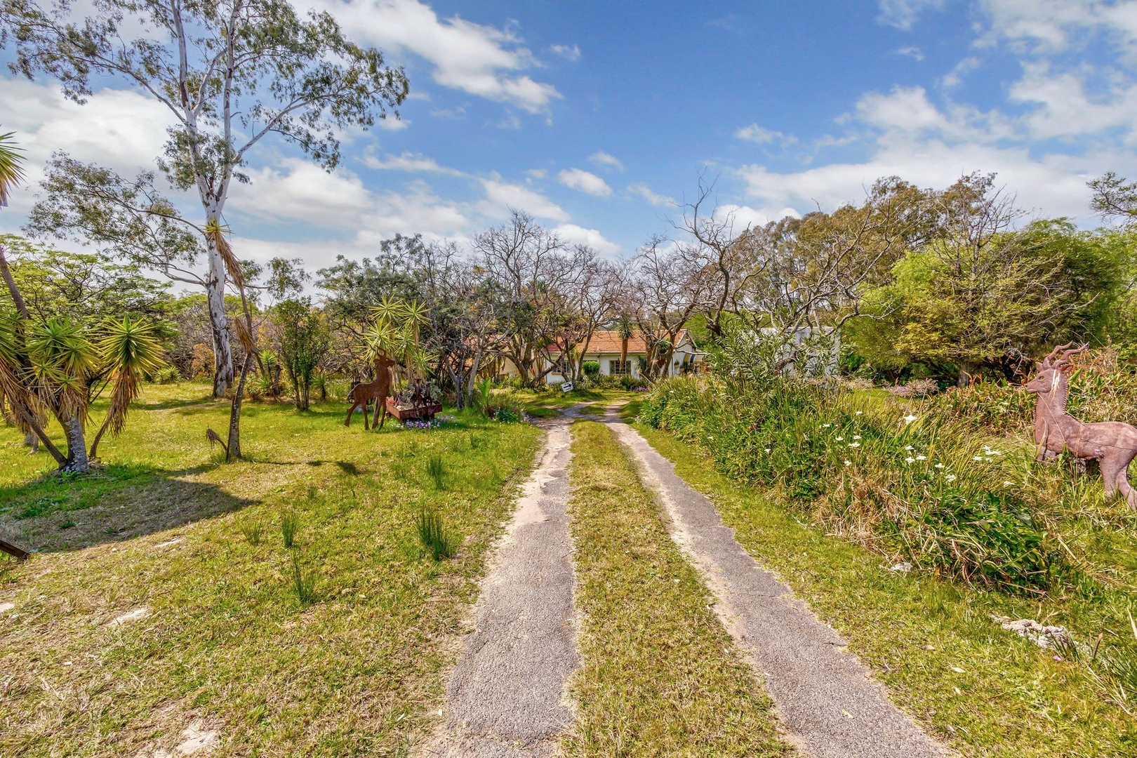 LIVE IN IT. DEVELOP IT. INVEST IN IT. YOUR CALL. 5 Bed Home on a ±8,569m²