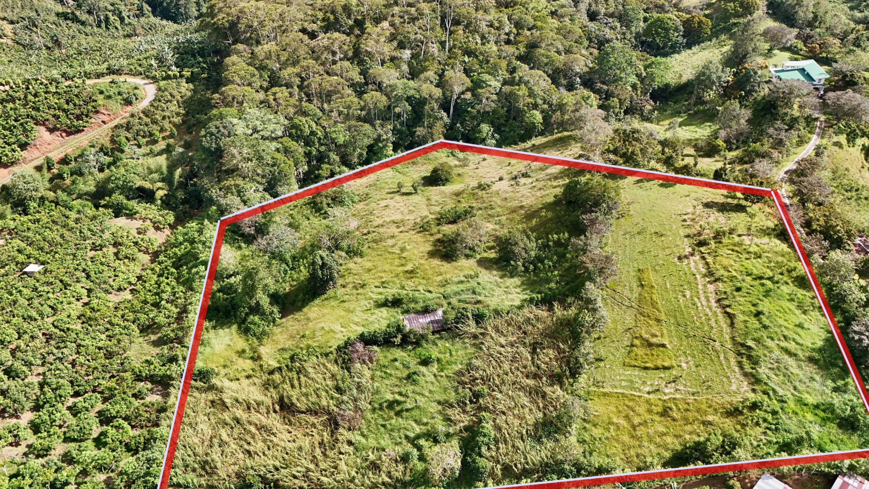 Ready-to-Build Mountain View Property