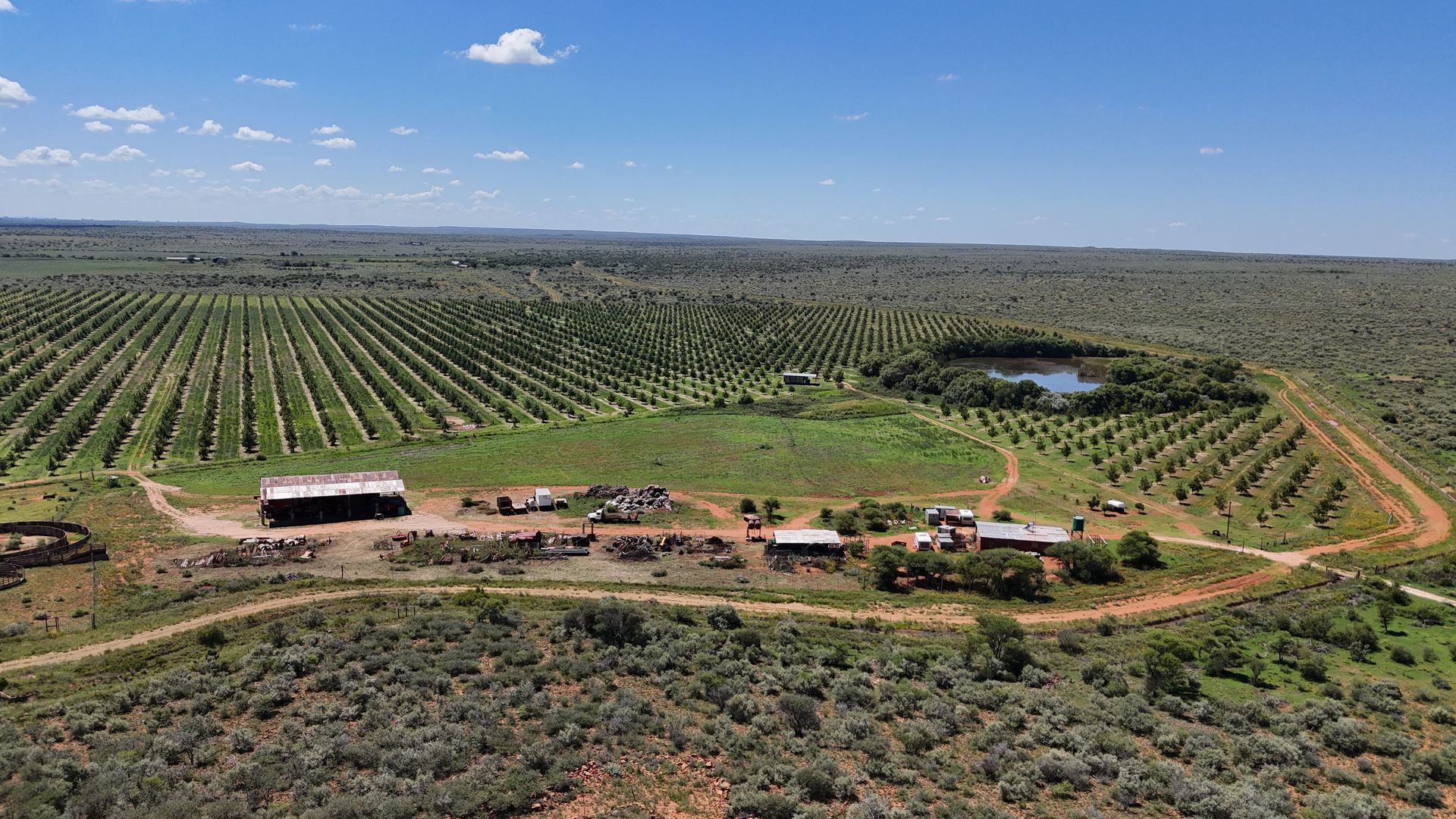 Pecan Nut Farm with Established Orchards and Excellent Water Infrastructure