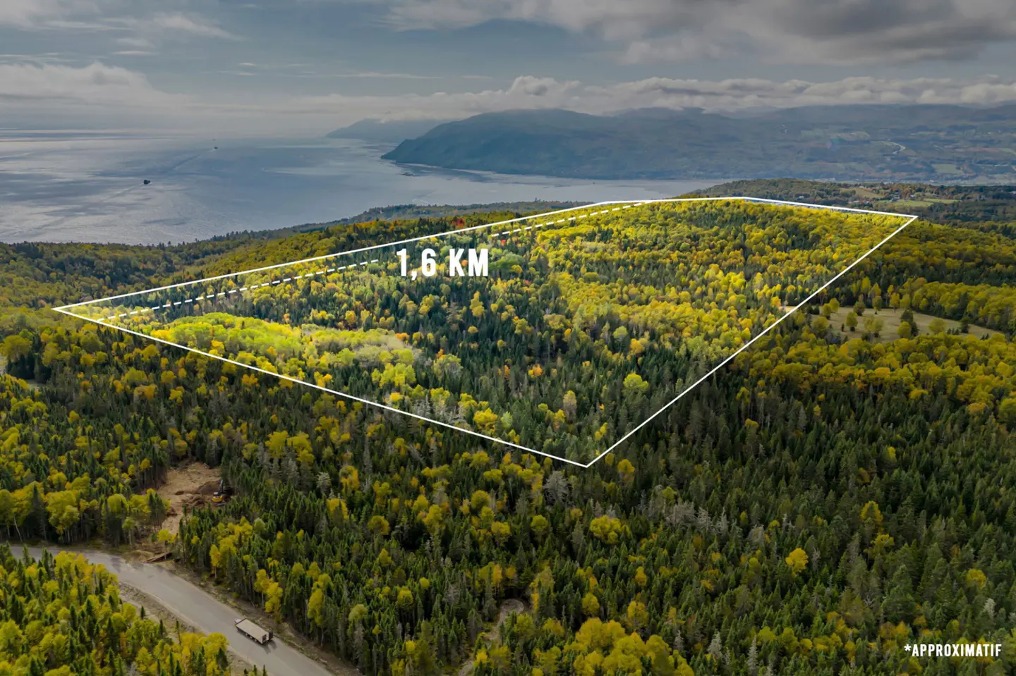 Aerial view of a 1.6 km wooded property outlined in white, with a road and distant mountains.