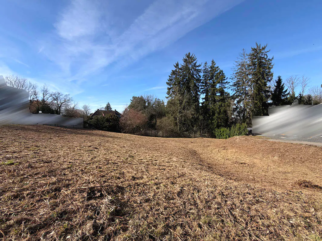 A vacant lot with dry grass under a blue sky, surrounded by trees and houses.