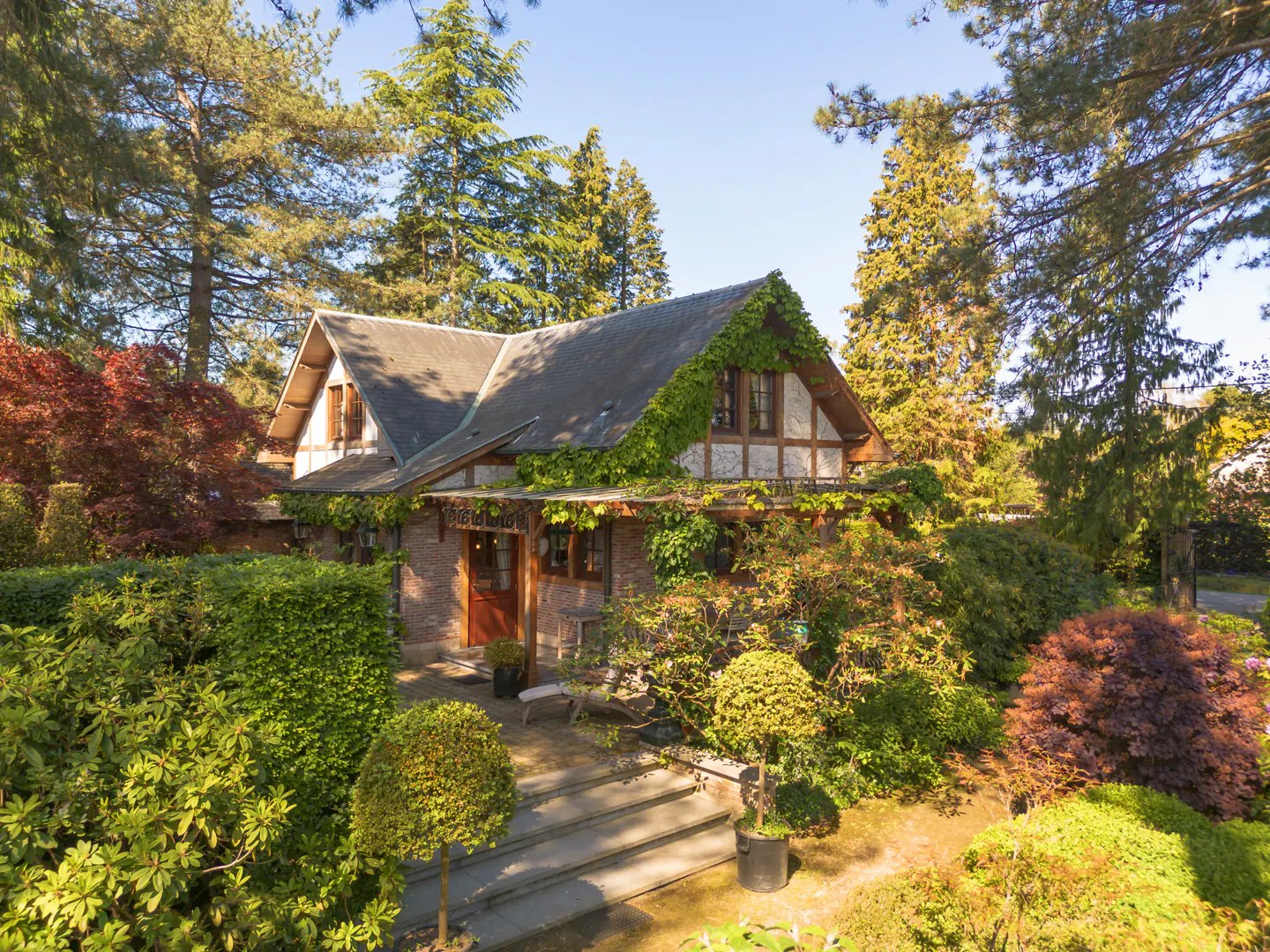 A charming cottage with ivy-covered walls, a stone patio, and steps, surrounded by lush green trees and garden foliage.
