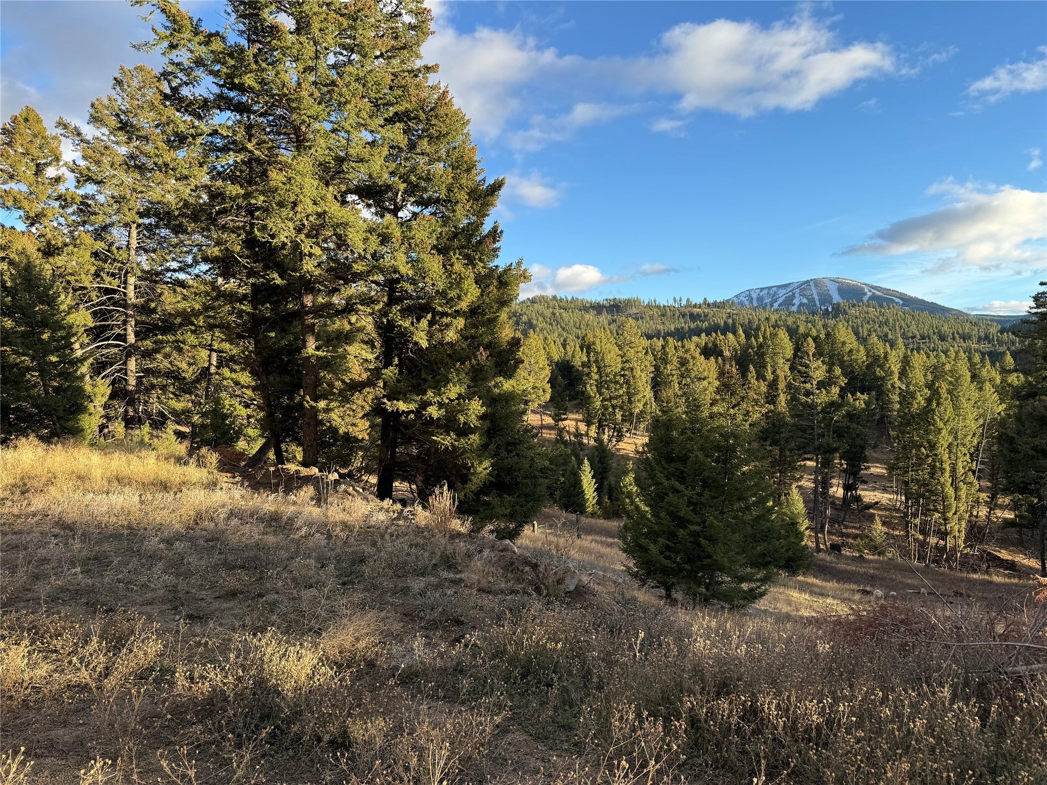 Mountain Lots with Views, Privacy & Easy Philipsburg Access