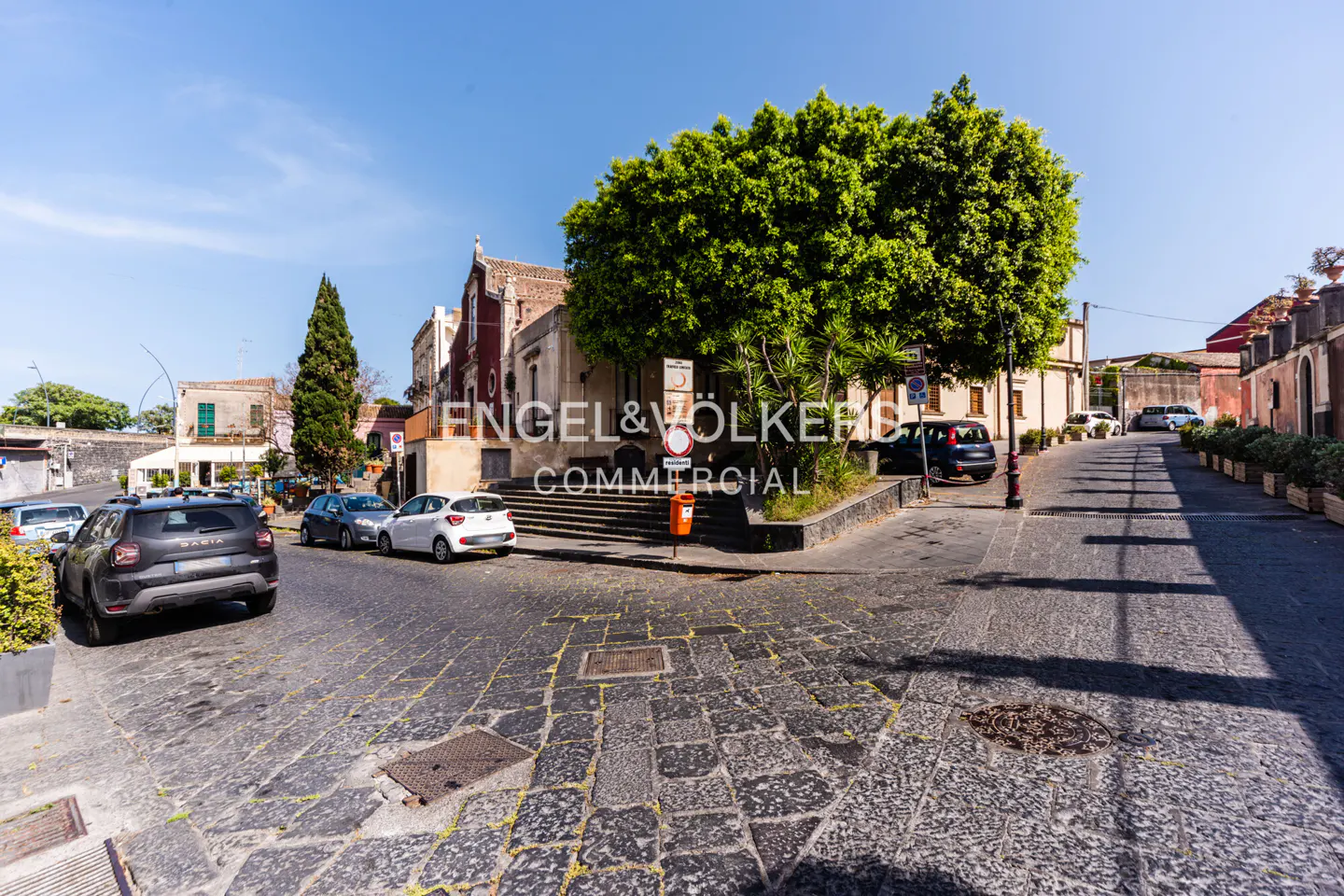 Cobblestone street scene with parked cars, a large tree, and a building with stairs. The sky is blue.
