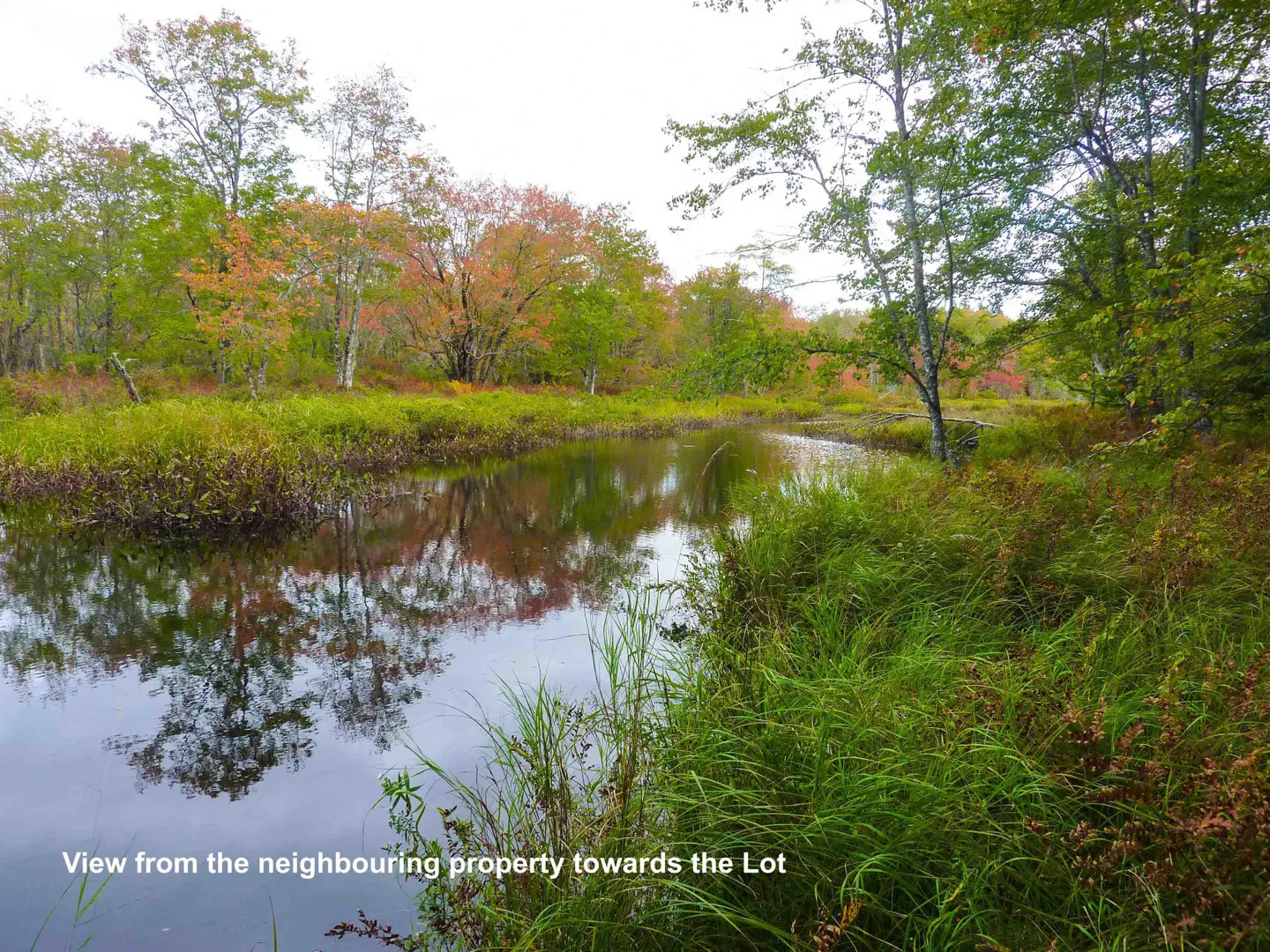 View of a pond surrounded by green and red trees. The trees are reflected in the water.