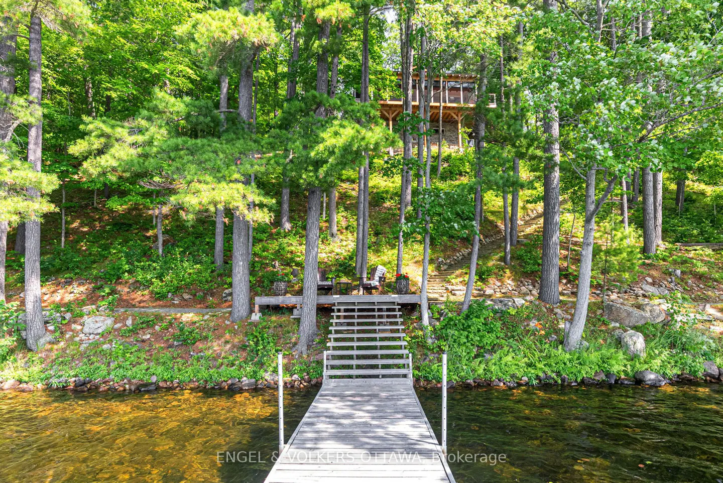 Wooden dock leading to a lakeside property with a cabin nestled among green trees.