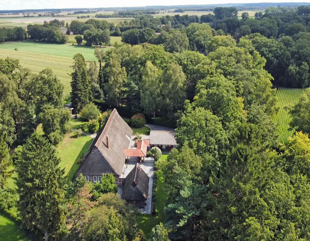 Aerial view of a thatched roof house surrounded by green trees and fields.