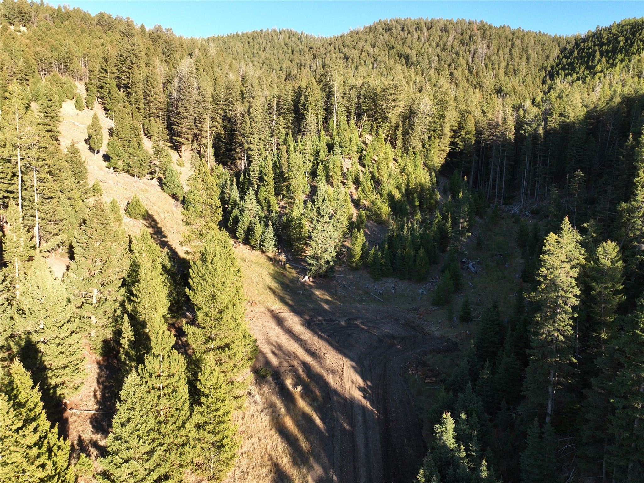 Elk Country Retreat with Forest Access Included