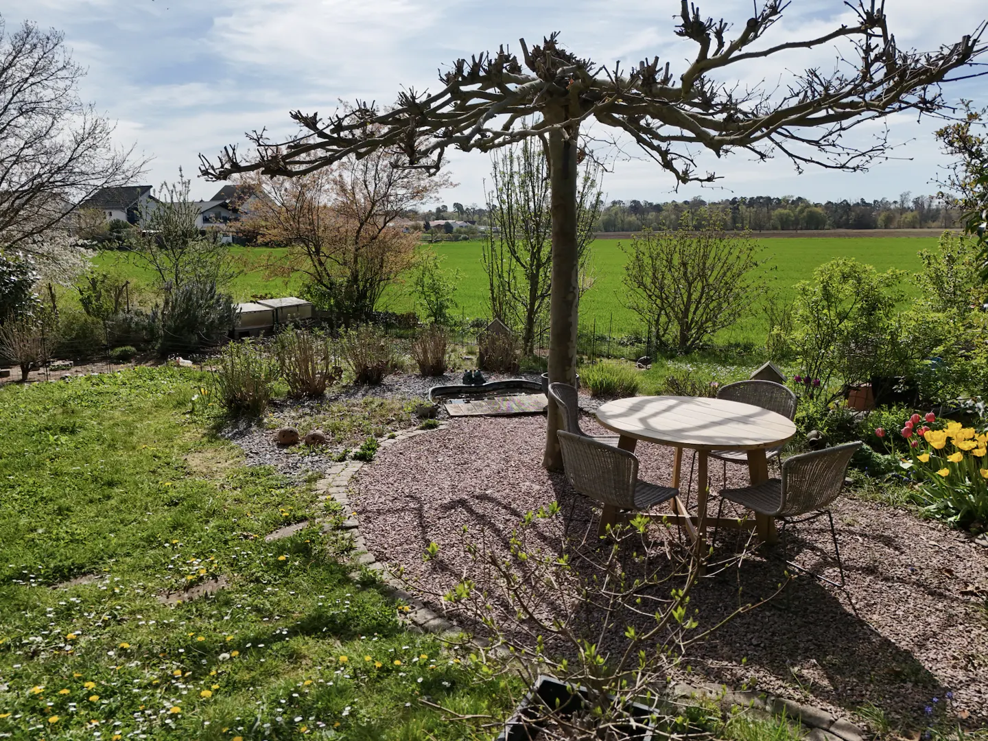 Outdoor dining area with a round table and four chairs under a tree in a lush green garden with a field in the background.
