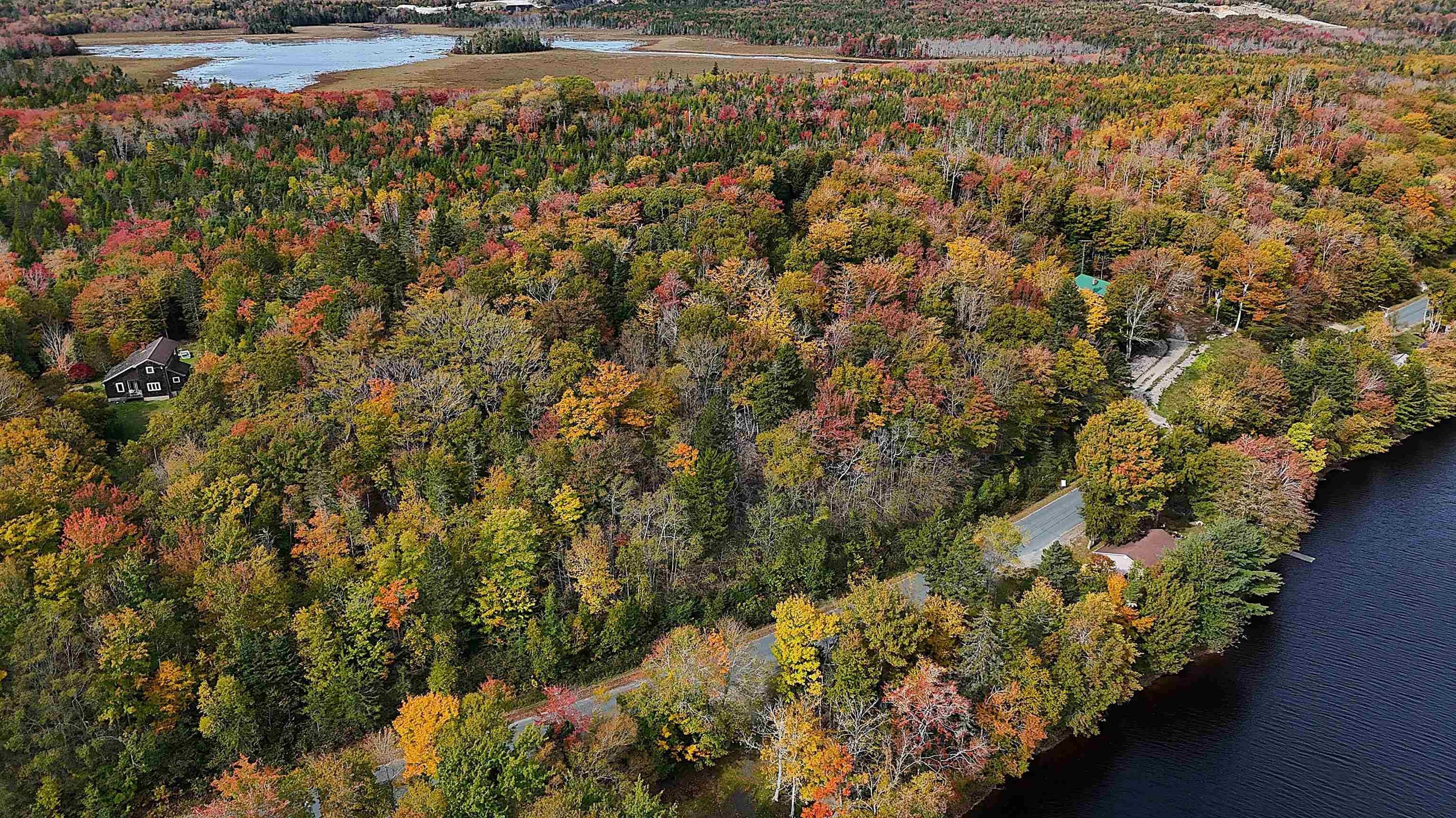 Beautifully Treed Land Overlooking Scenic Agard Lake