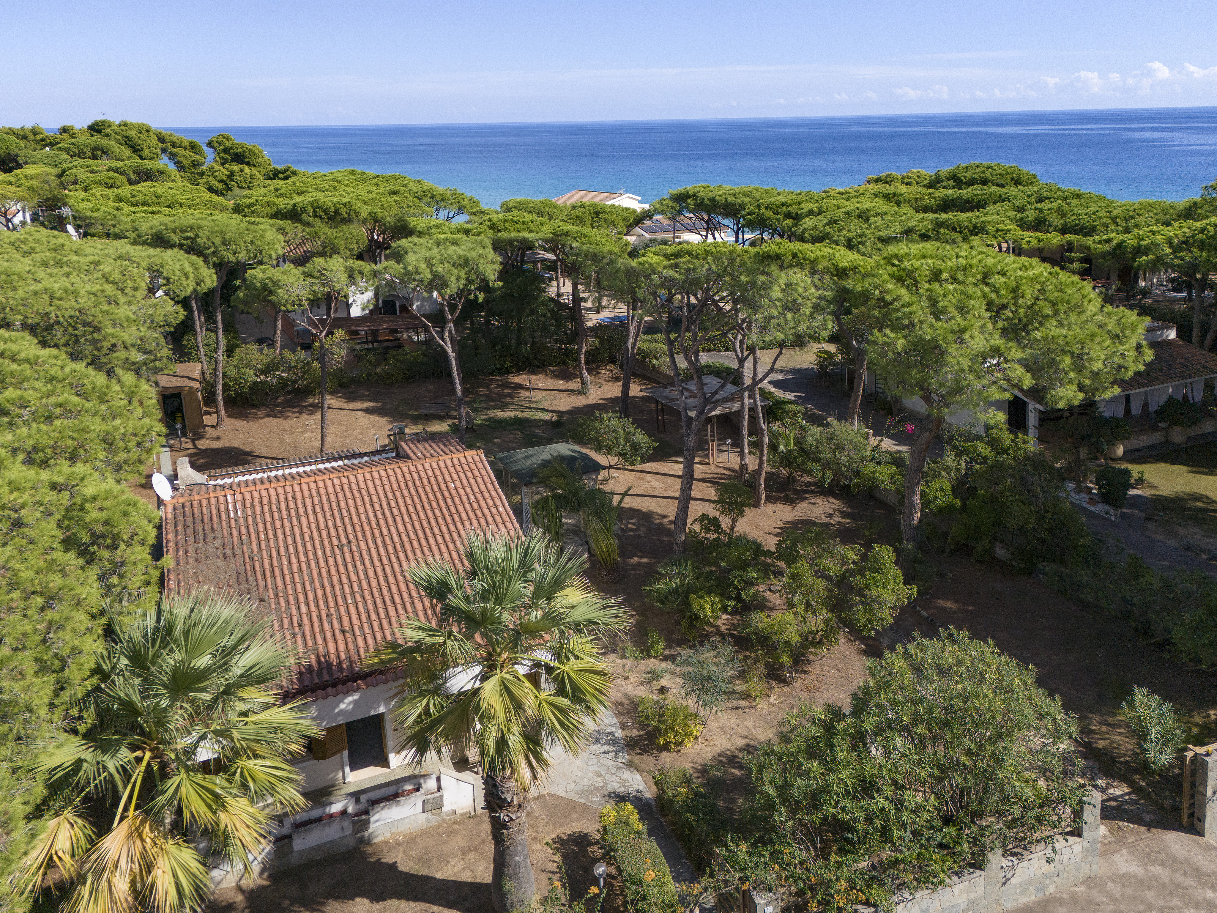 Aerial view of a house with a terracotta roof nestled in a lush pine forest overlooking the blue Mediterranean Sea. [AI-generated text]
