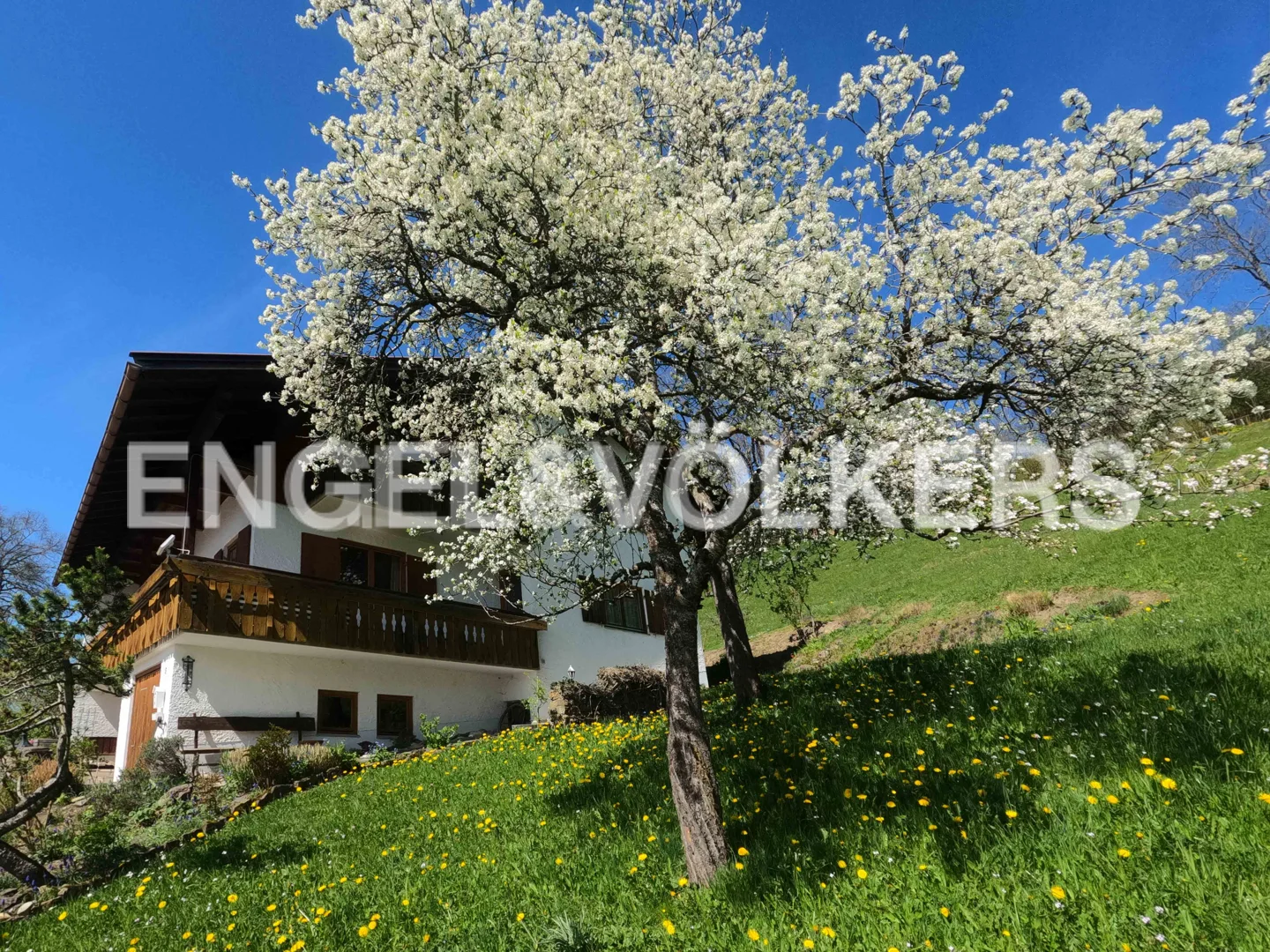 Sonnenverwöhntes Haus mit Alpenblick