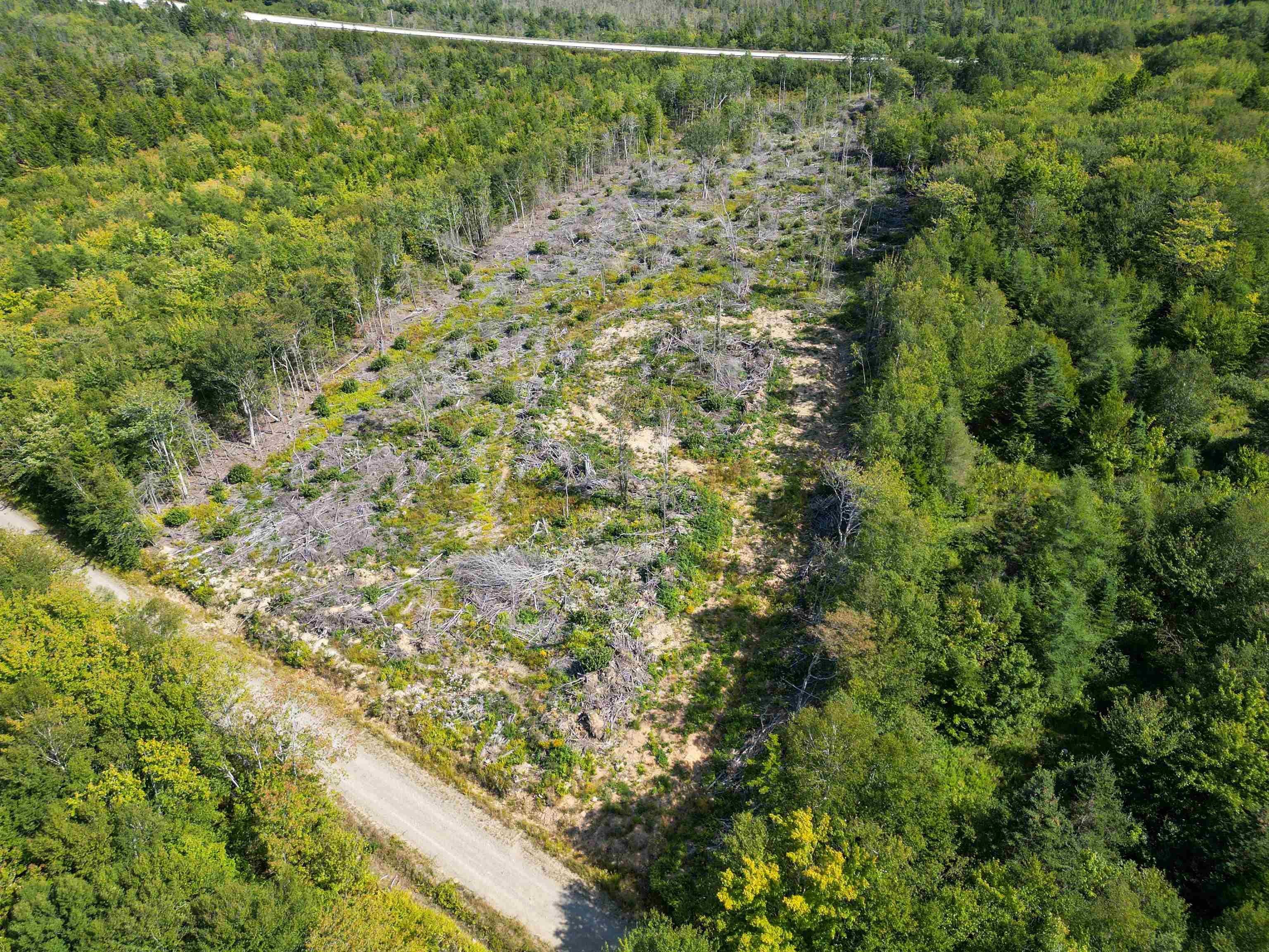 Privacy and Convenience with this Exceptional 4 Acre Lot