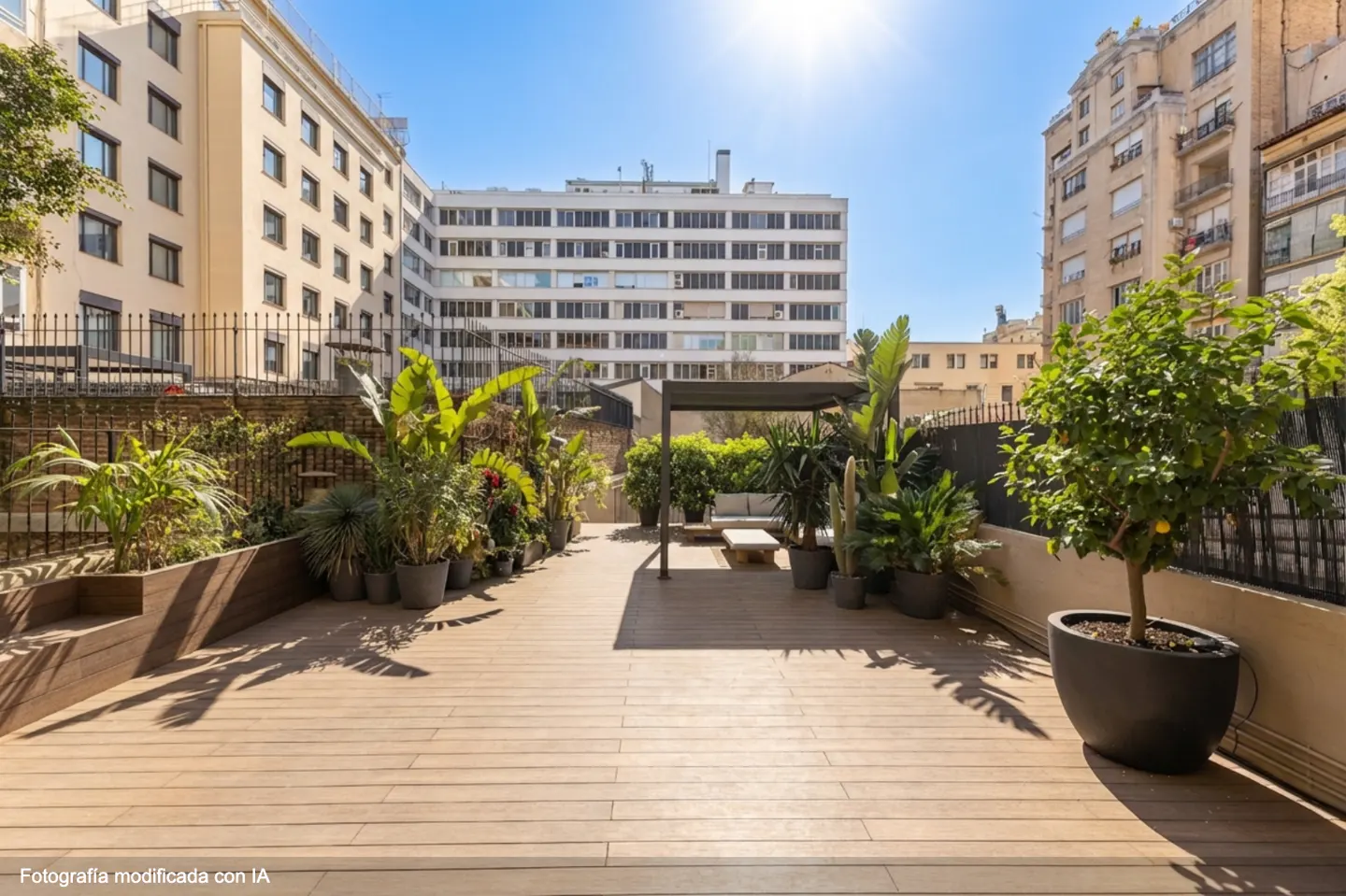 Wide shot of a wooden deck with potted plants, a pergola, and buildings in the background on a sunny day.