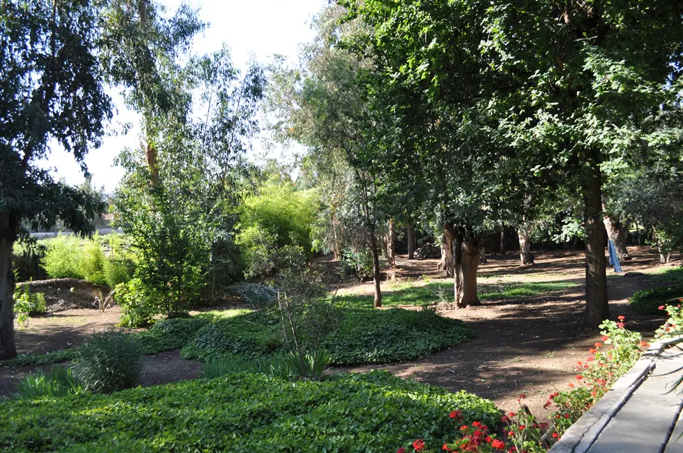 Lush green garden with tall trees, ground cover, and red flowers. A path winds through the trees.