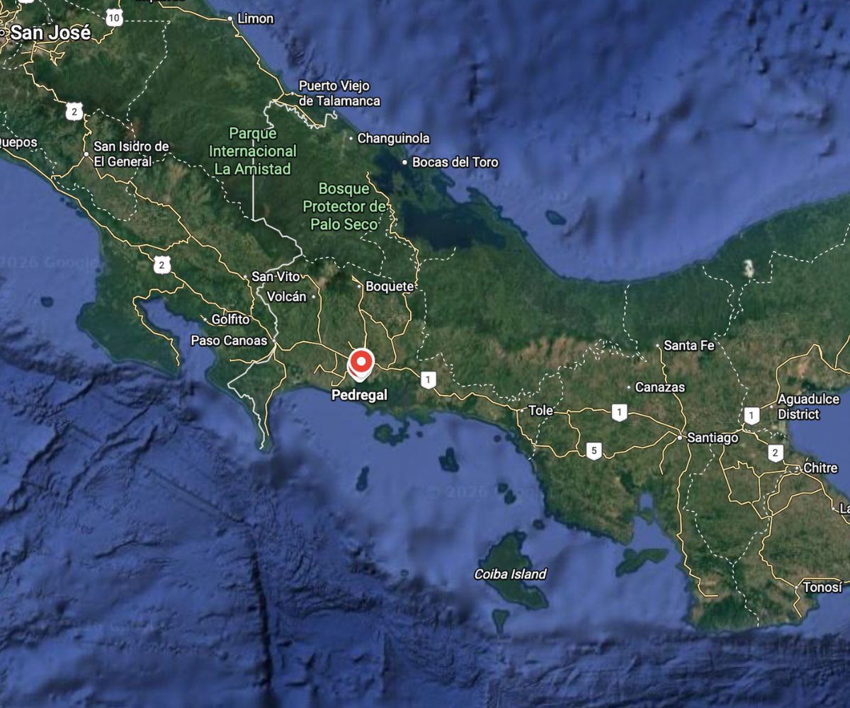 6-Hectare Development Land in Pedregal, David