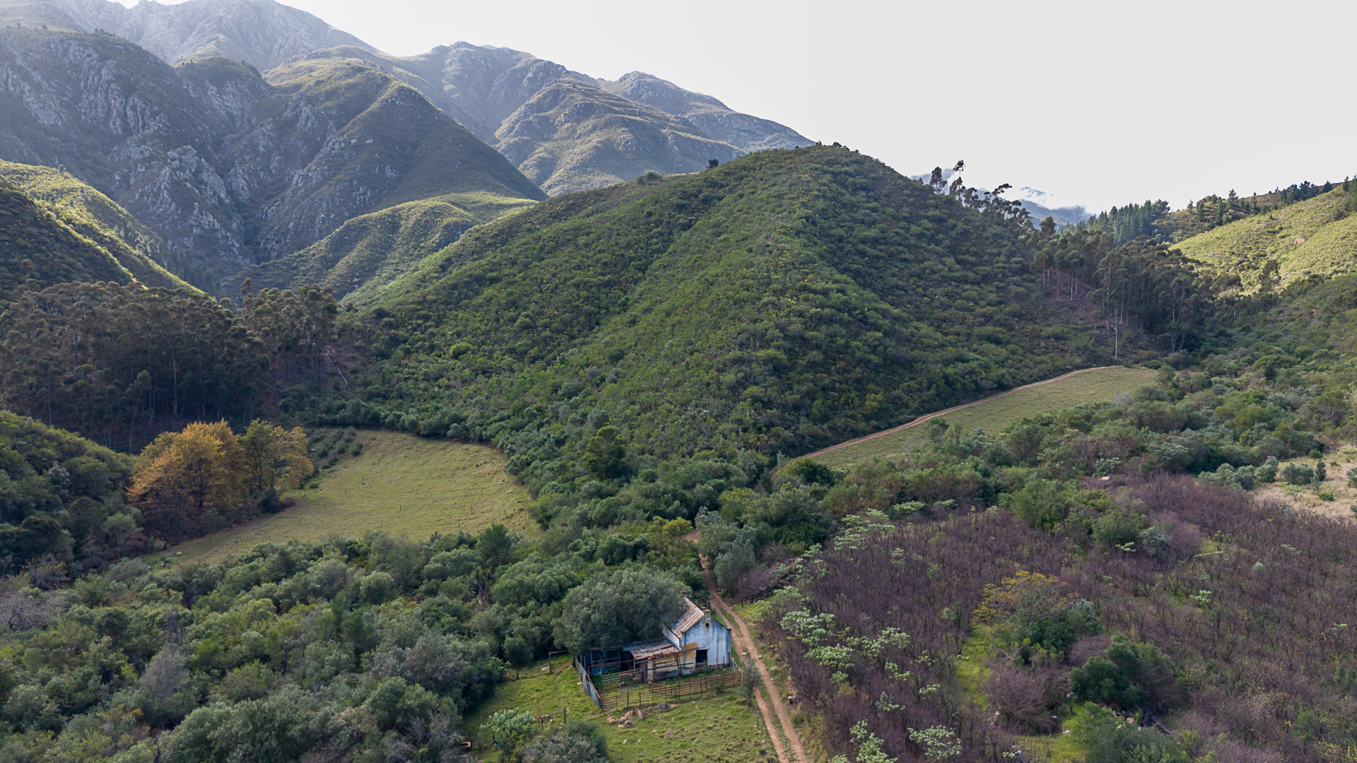 Untamed Langeberg Wilderness
