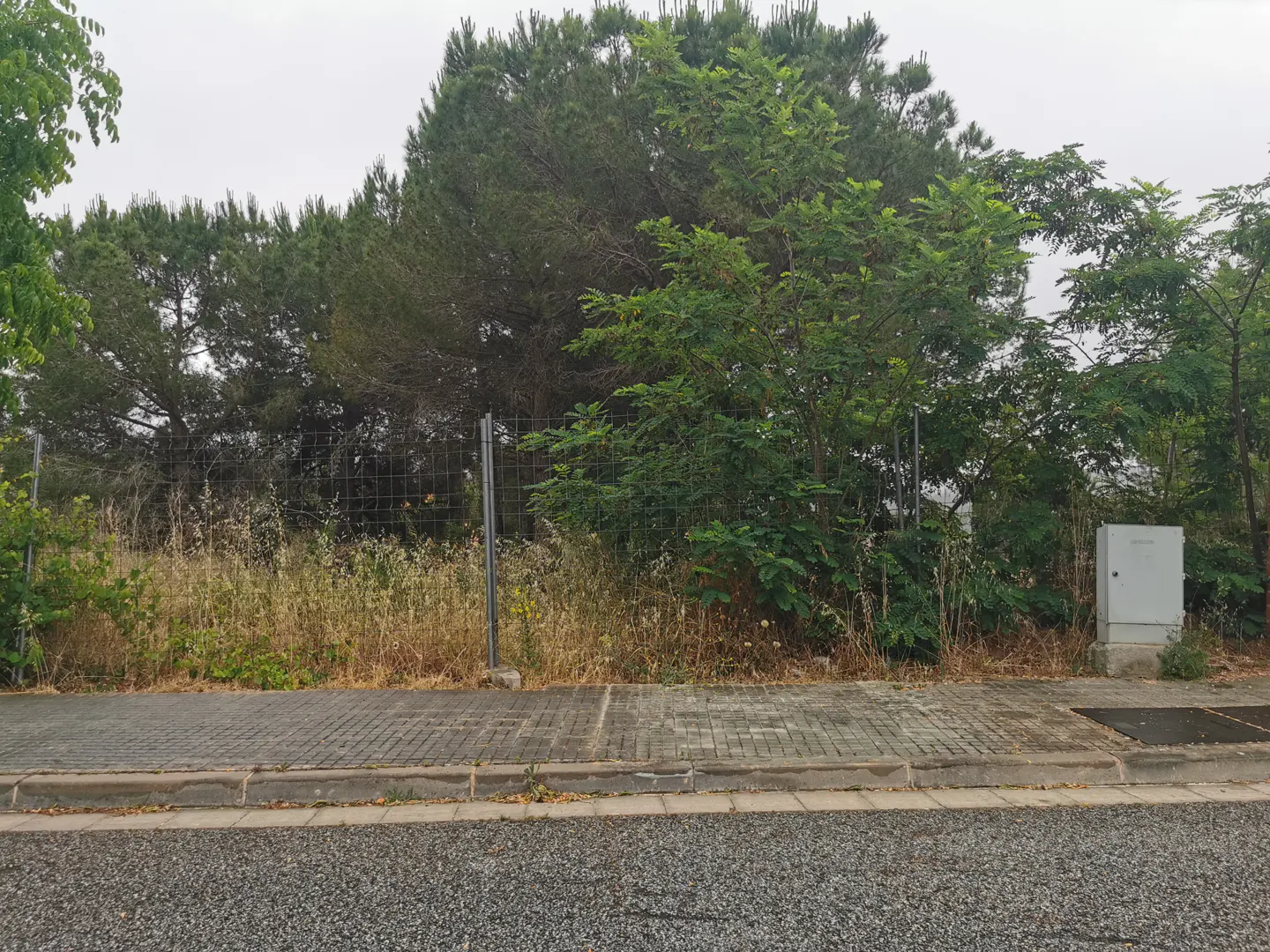 A vacant lot with dry grass and trees behind a wire fence, viewed from a paved sidewalk and street.