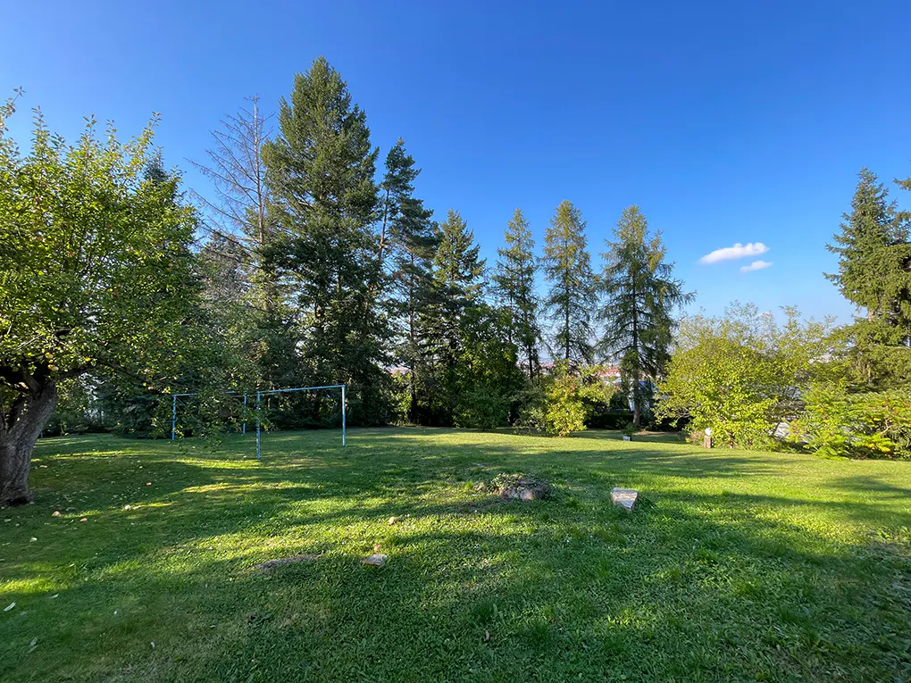 Lush green lawn with tall trees under a clear blue sky. A blue metal swing set stands in the background.