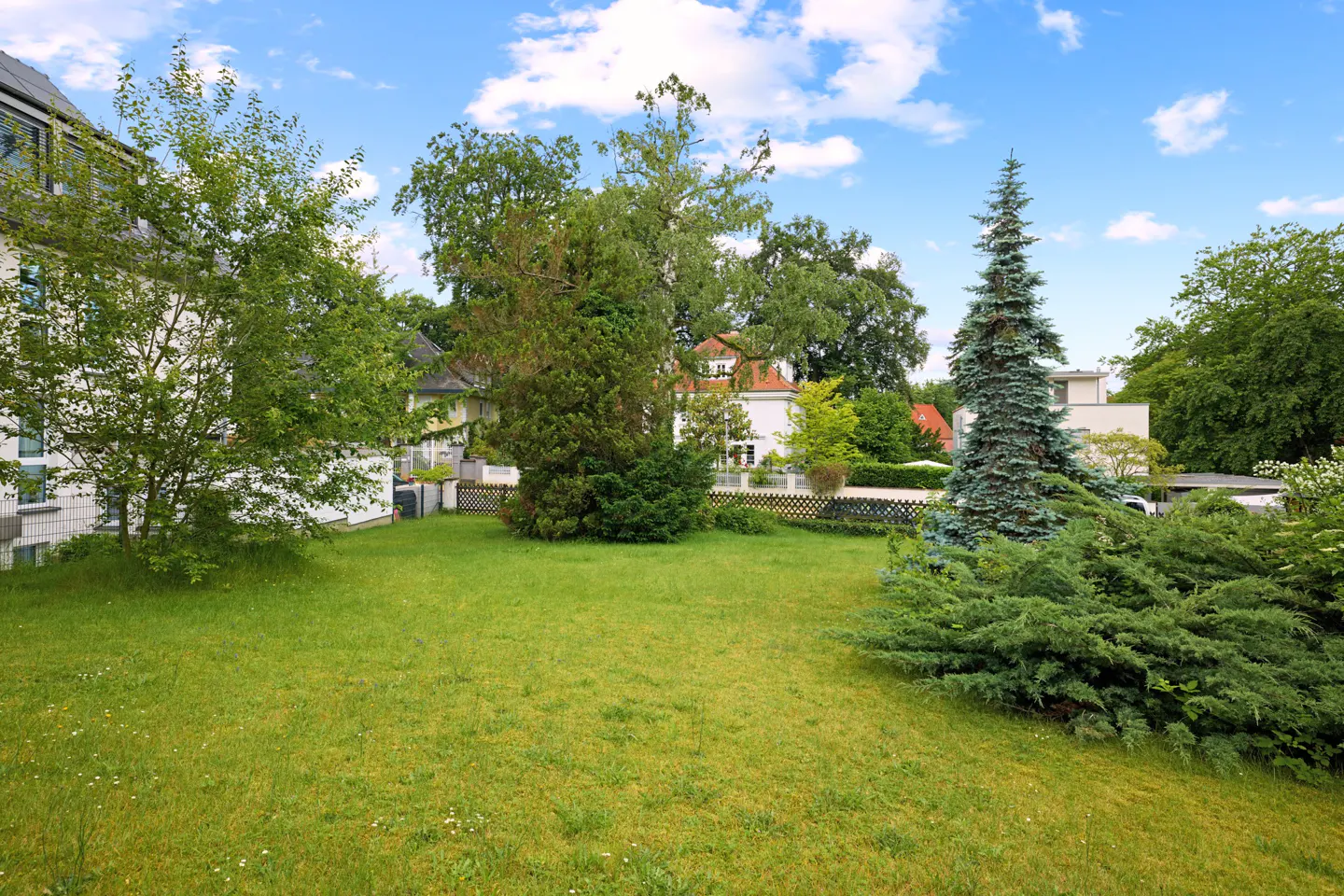 A lush green lawn with trees and shrubs in a residential area under a blue sky with white clouds.