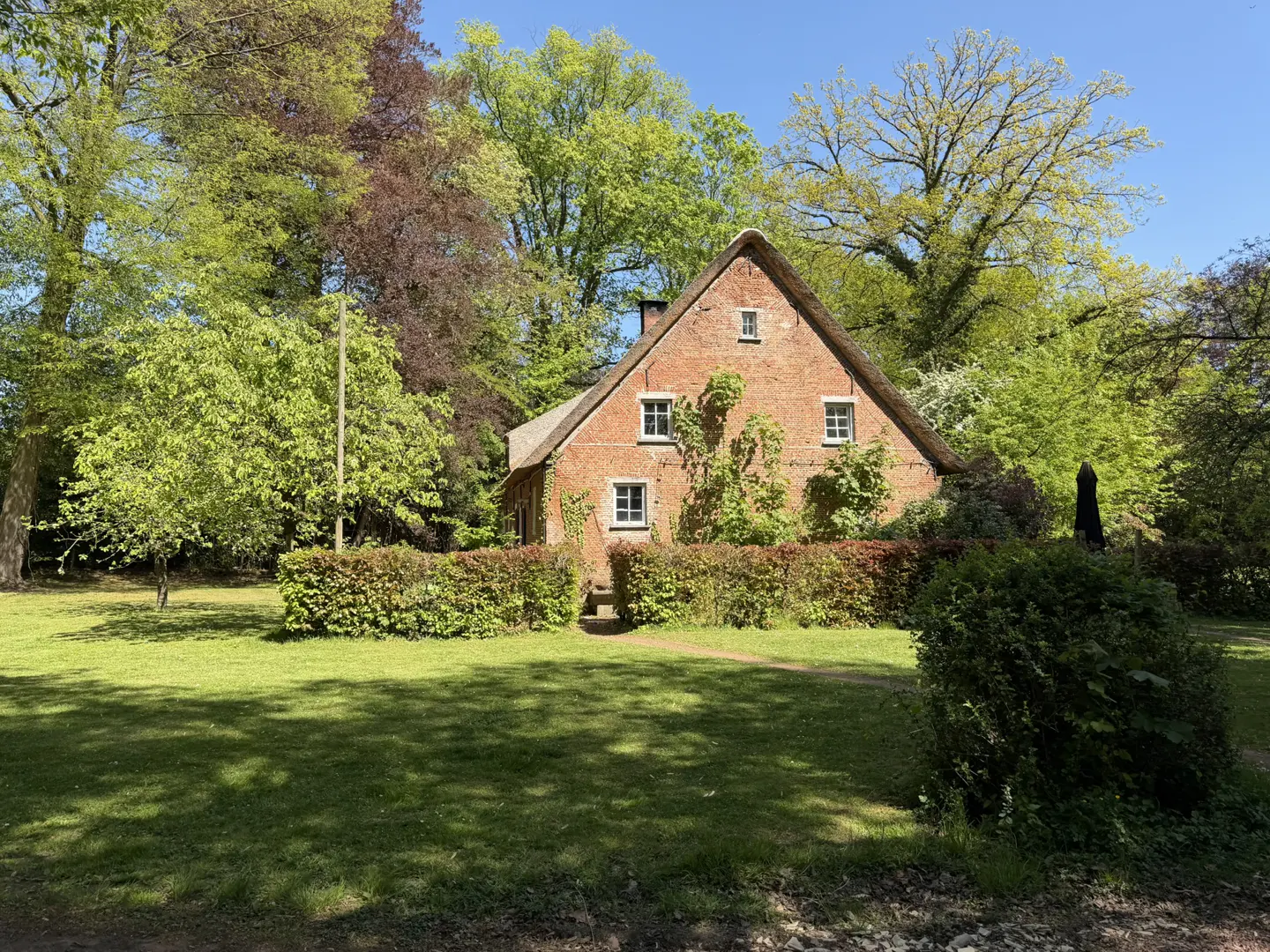 A red brick house with a thatched roof sits behind a green hedge and a grassy lawn with trees.