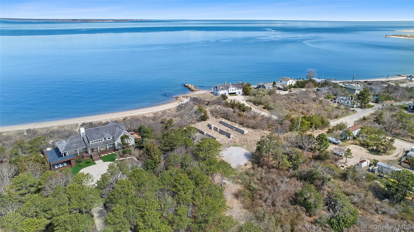 Aerial view of waterfront homes. One gray house is surrounded by trees, and a white house sits on a sandy beach. Blue ocean in the background.