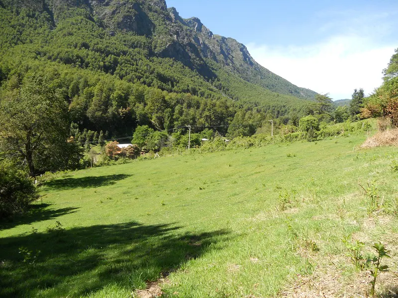 Green grassy field sloping up to a mountain covered in trees under a blue sky.