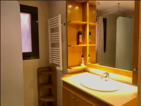Bathroom with a white sink, wooden cabinets, and a mirror reflecting a shower. A white towel rack is mounted on the wall.