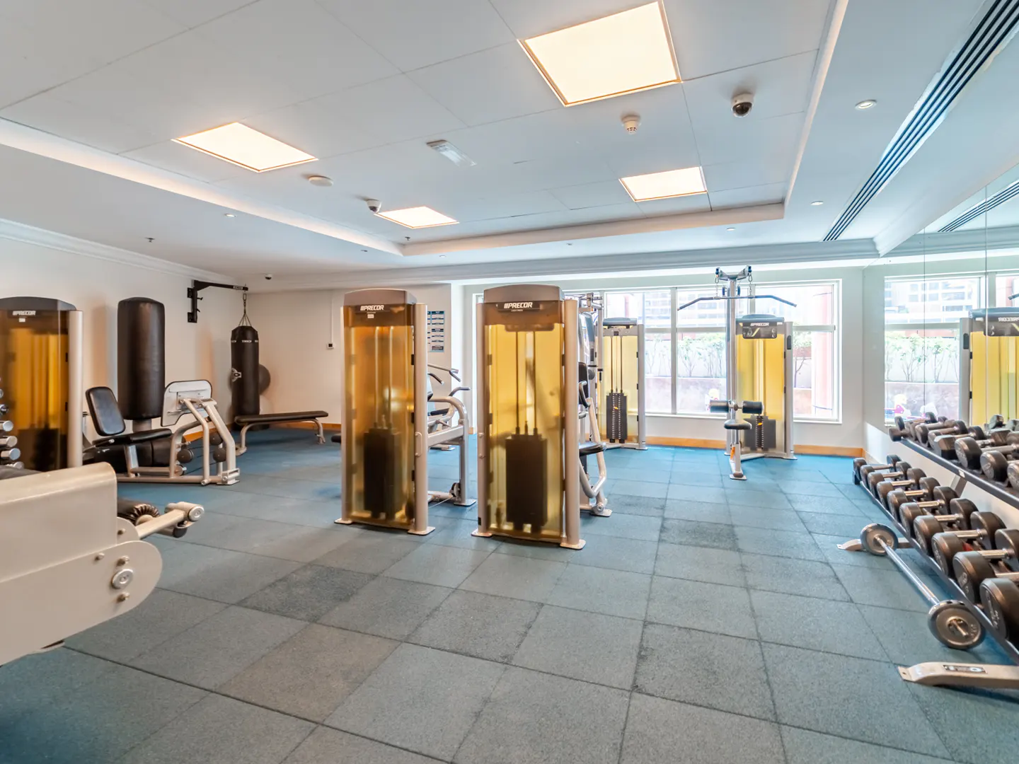 Bright, modern gym with blue rubber flooring, weight machines, a punching bag, and a rack of dumbbells by a window.