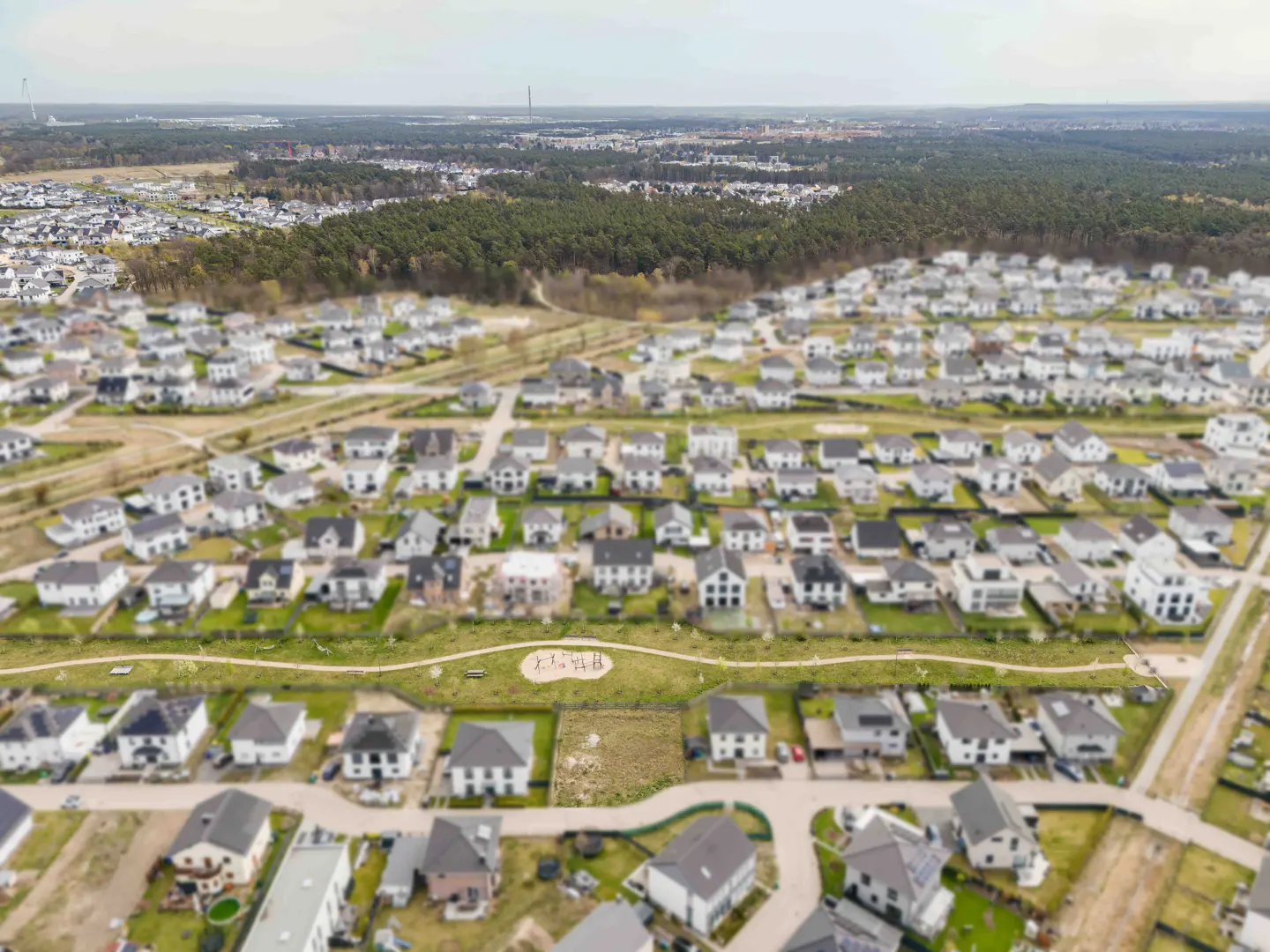 Aerial view of a suburban neighborhood with rows of houses, green lawns, and a forest in the background.