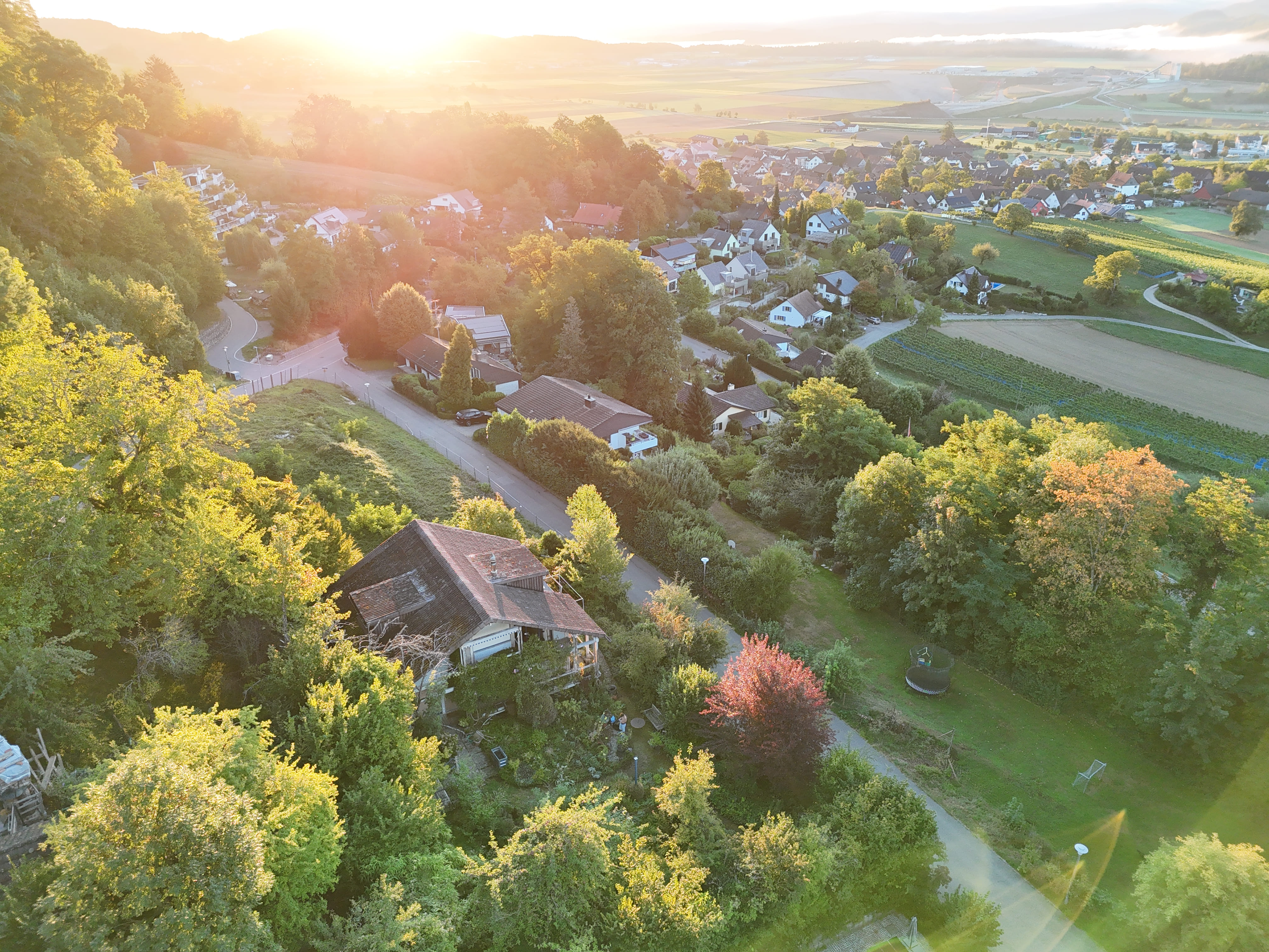 Der Rohdiamant im Steuerparadies