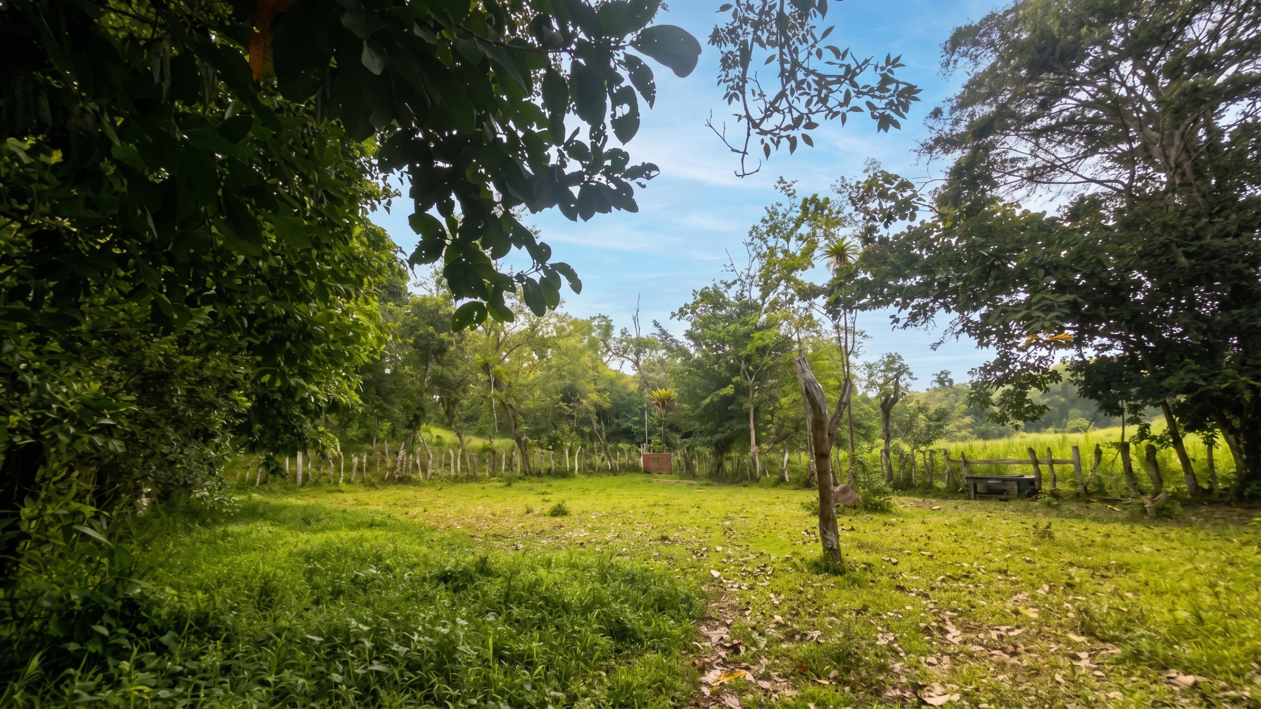 Exclusive Agricultural and Forestry Estate in Chiriquí